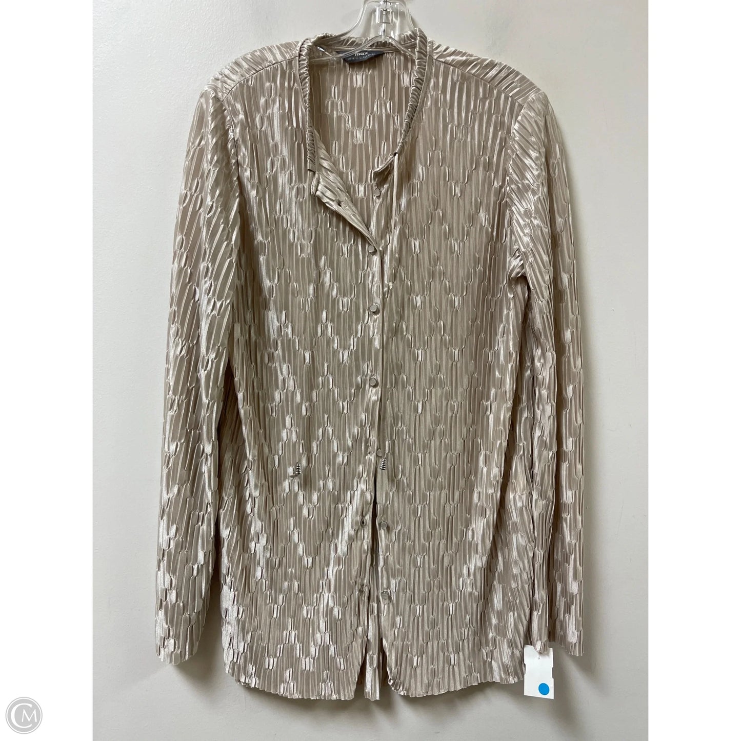 Blouse Long Sleeve By Clothes Mentor In Cream, Size: L