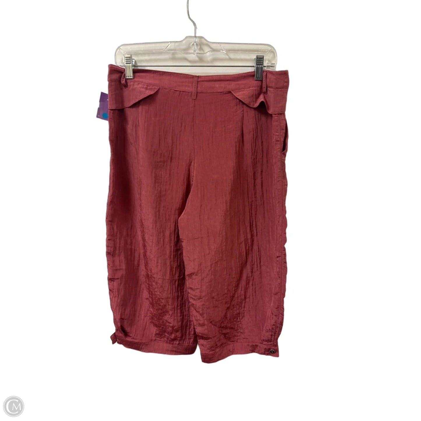 Shorts By Zara In Pink, Size: 8