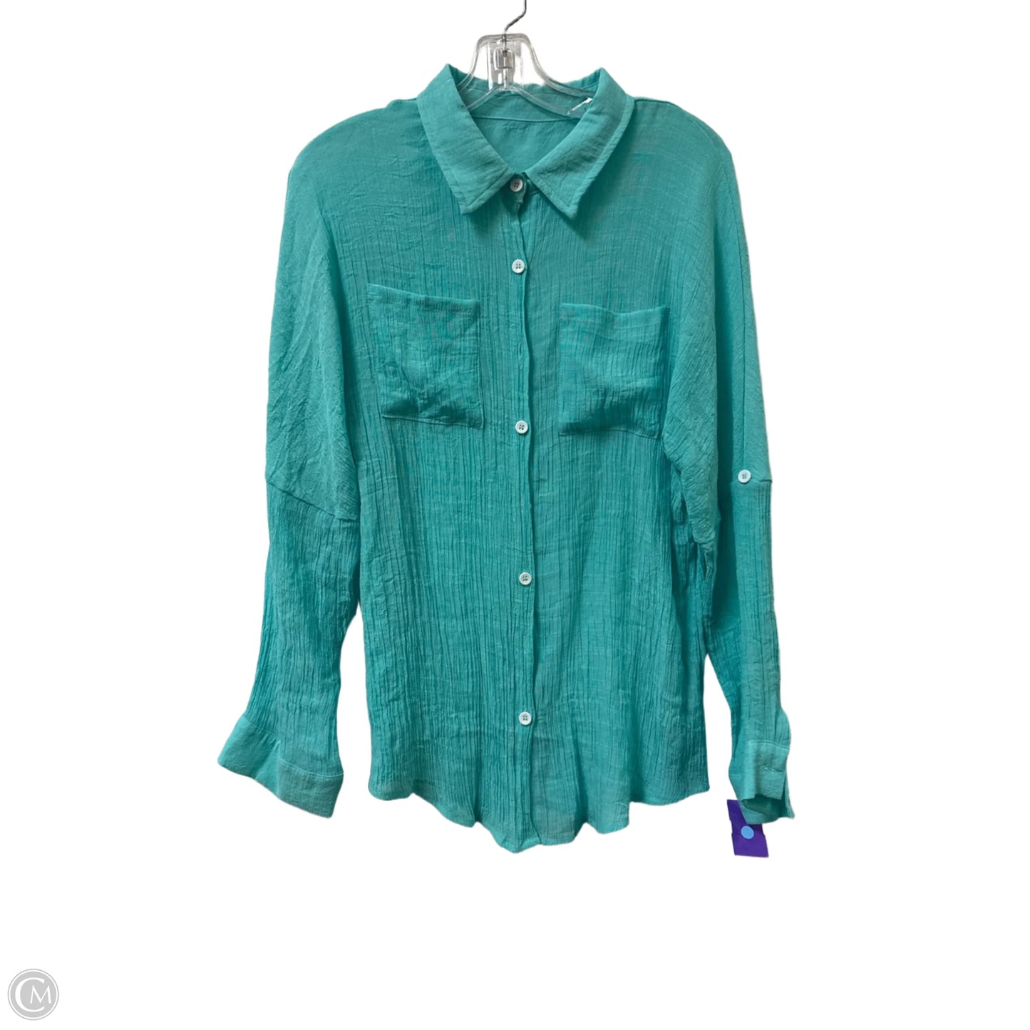 Blouse Long Sleeve By Clothes Mentor In Blue, Size: L