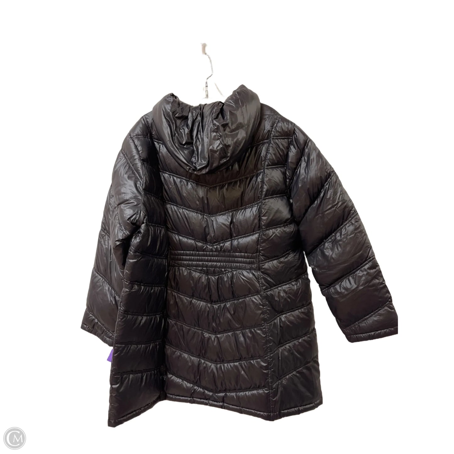 Coat Puffer & Quilted By Calvin Klein In Navy, Size: 2x