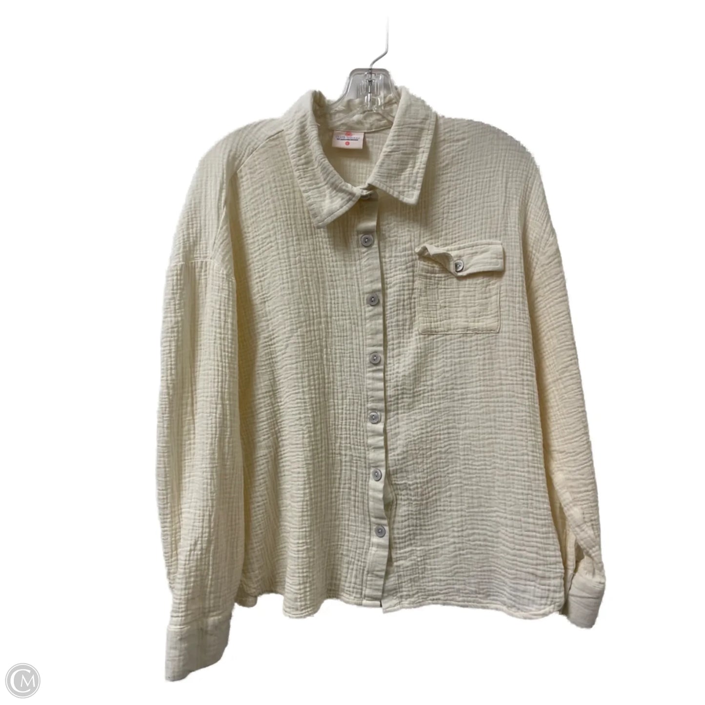 Blouse Long Sleeve By Clothes Mentor In Cream, Size: L