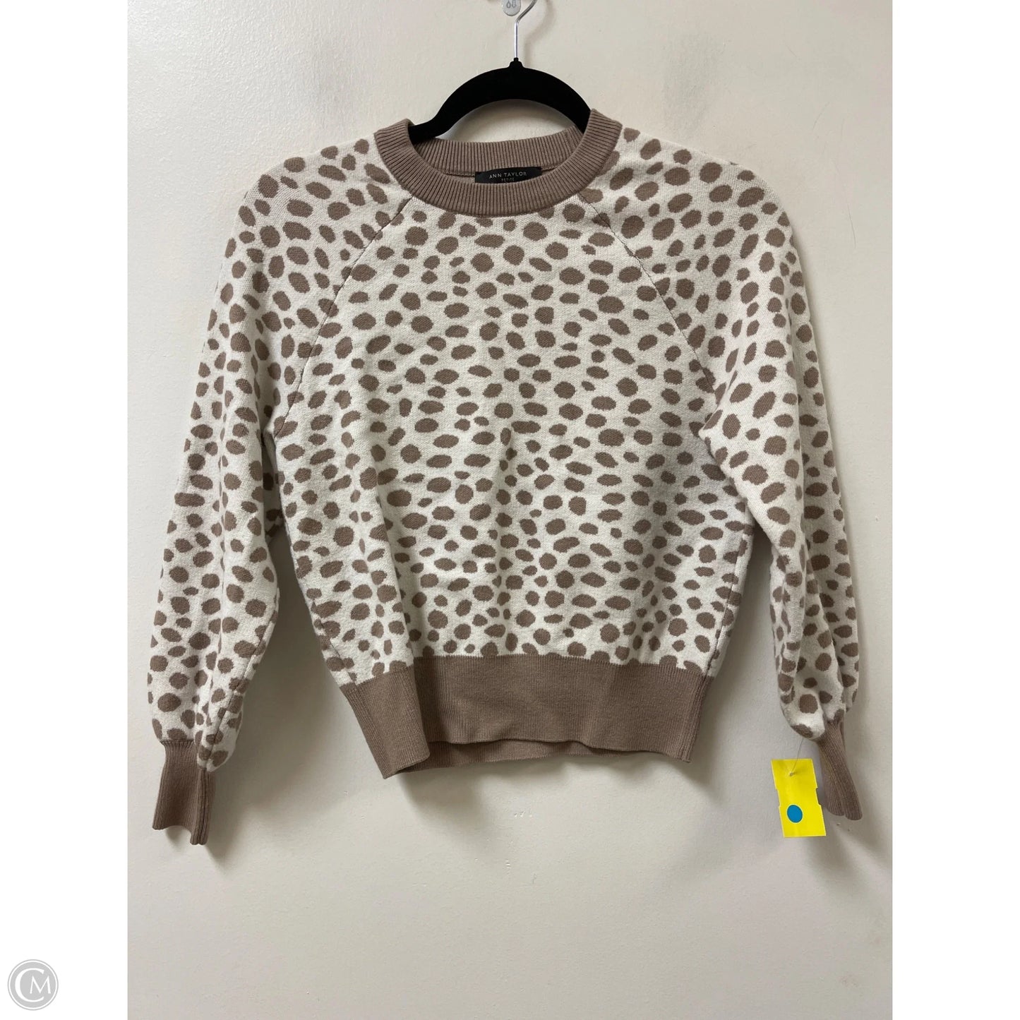 Sweater By Ann Taylor In Brown & Cream, Size: Xxsp