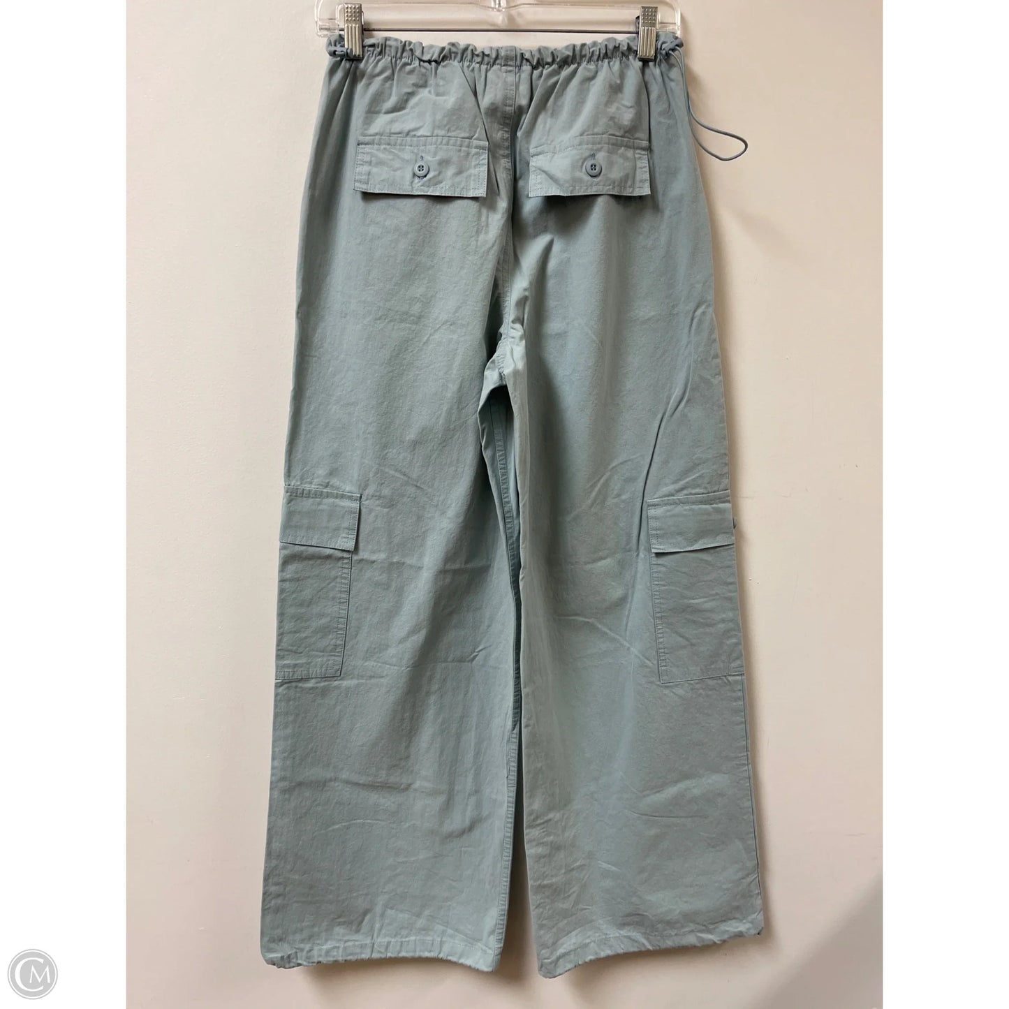 Pants Cargo & Utility By Pacsun In Blue, Size: S