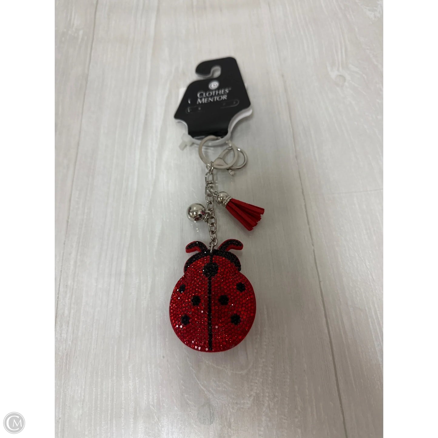 Accessory Tag By Clothes Mentor