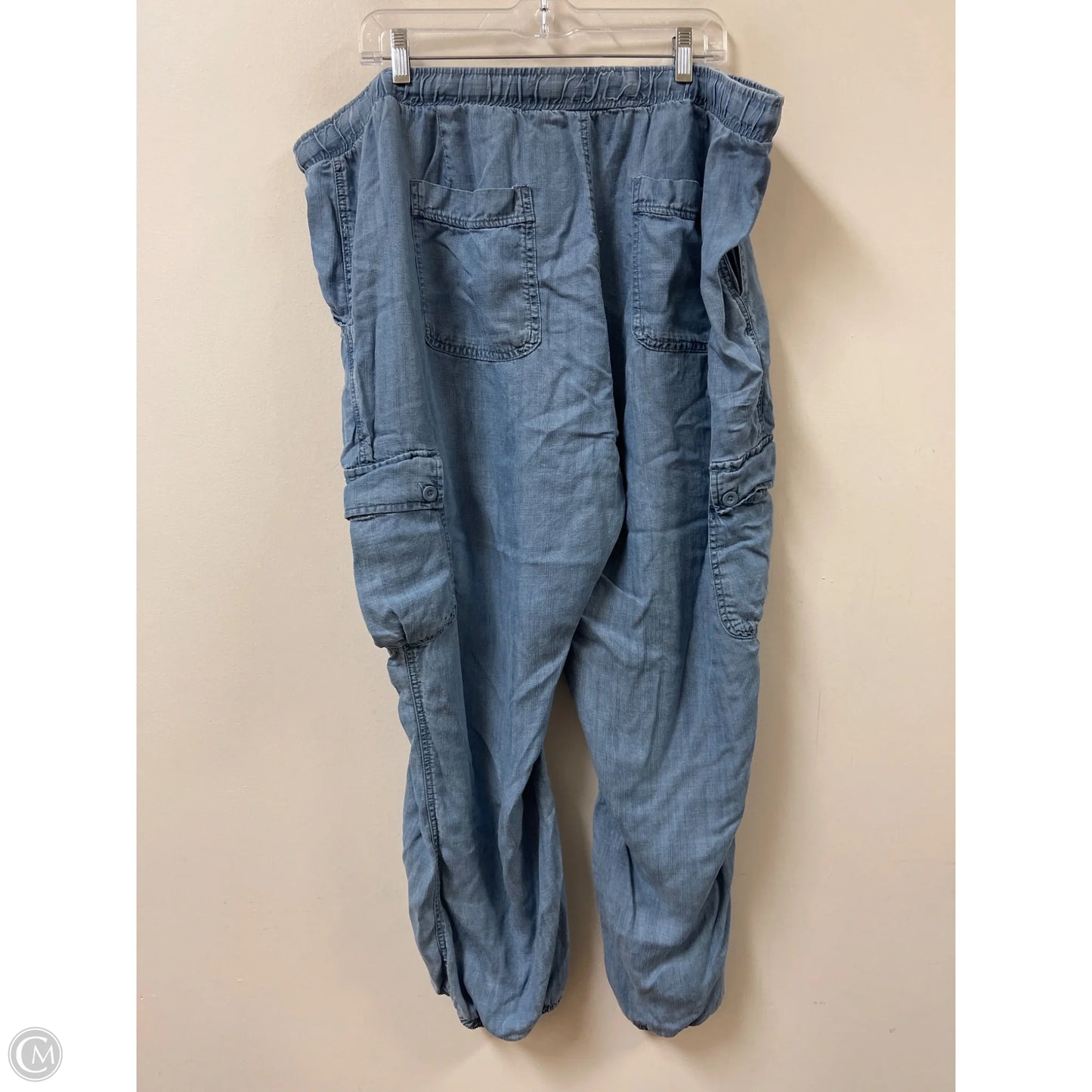 Pants Cargo & Utility By Industry In Blue, Size: 20