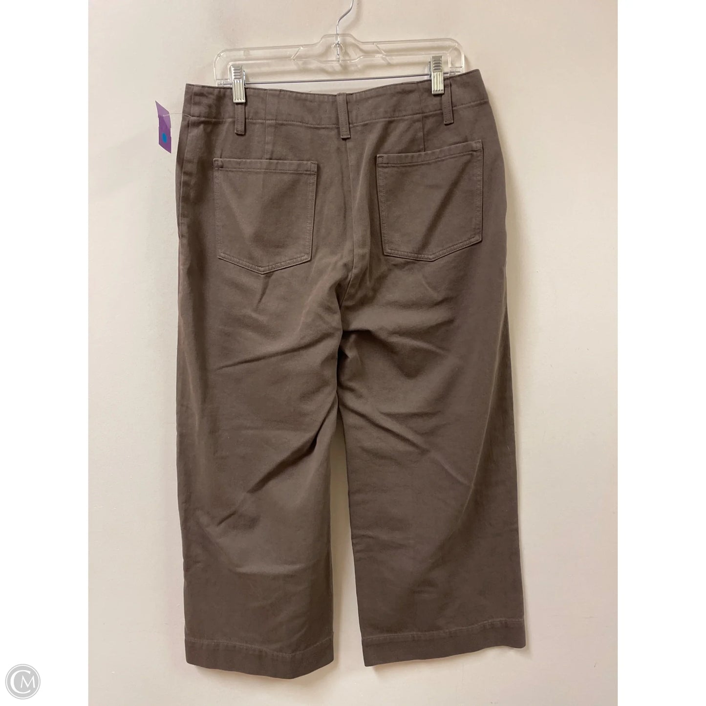 Pants Wide Leg By Eileen Fisher In Bronze, Size: 6
