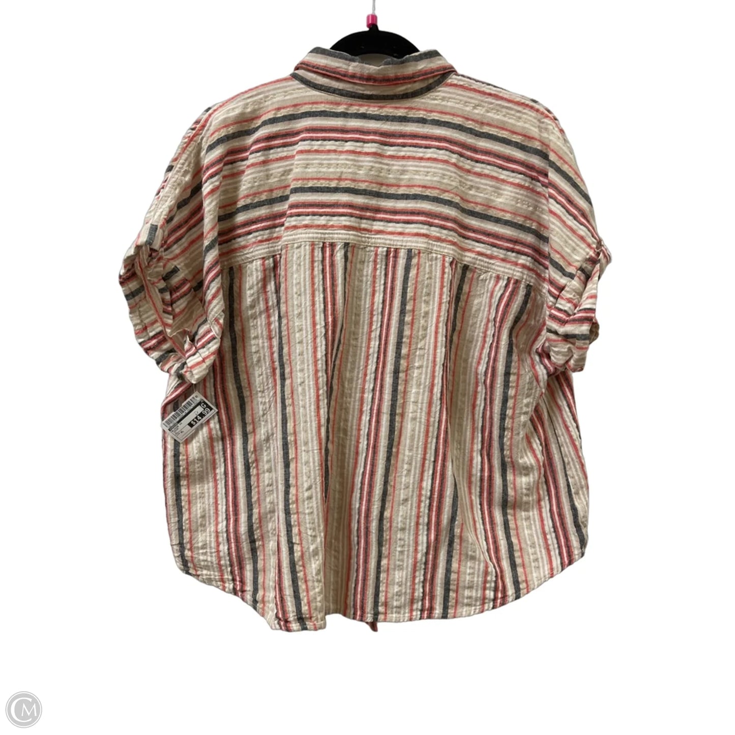 Blouse Short Sleeve By Chicos In Cream, Size: Xl