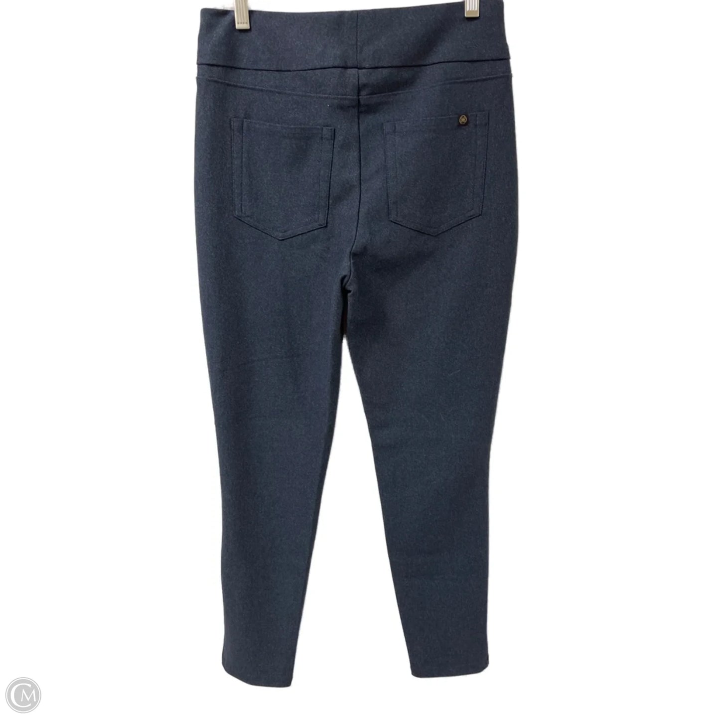 Athletic Pants By Cmb In Blue, Size: M