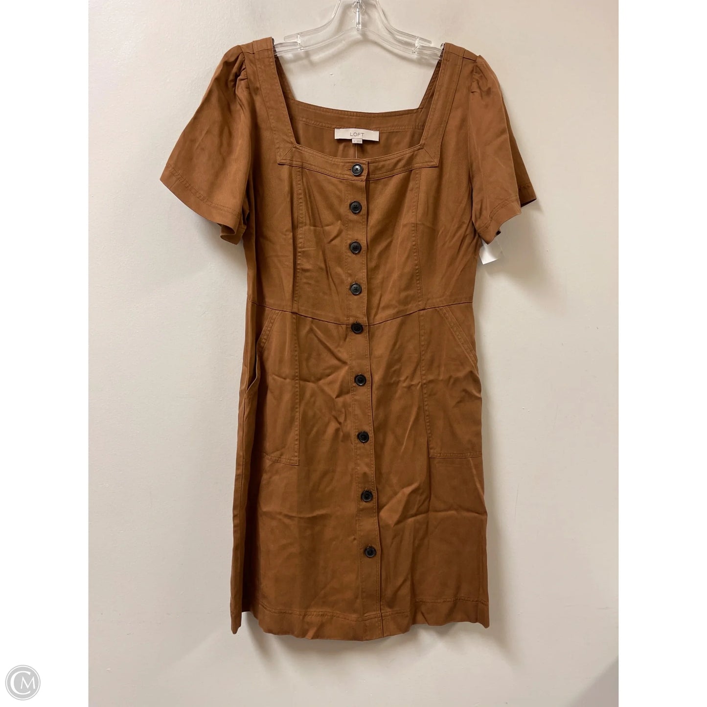 Dress Casual Short By Loft In Brown, Size: Xs