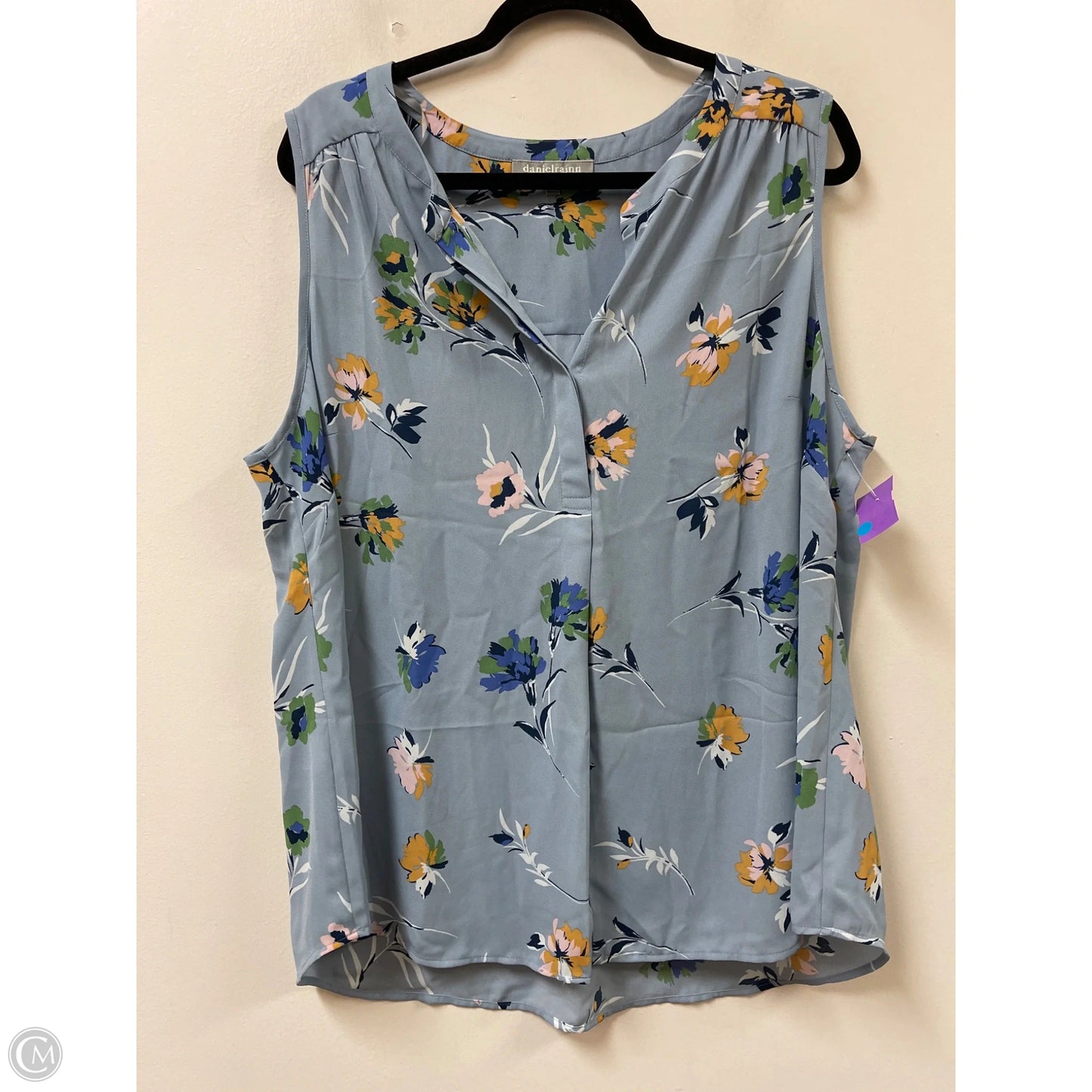 Top Sleeveless By Daniel Rainn In Blue, Size: 2x