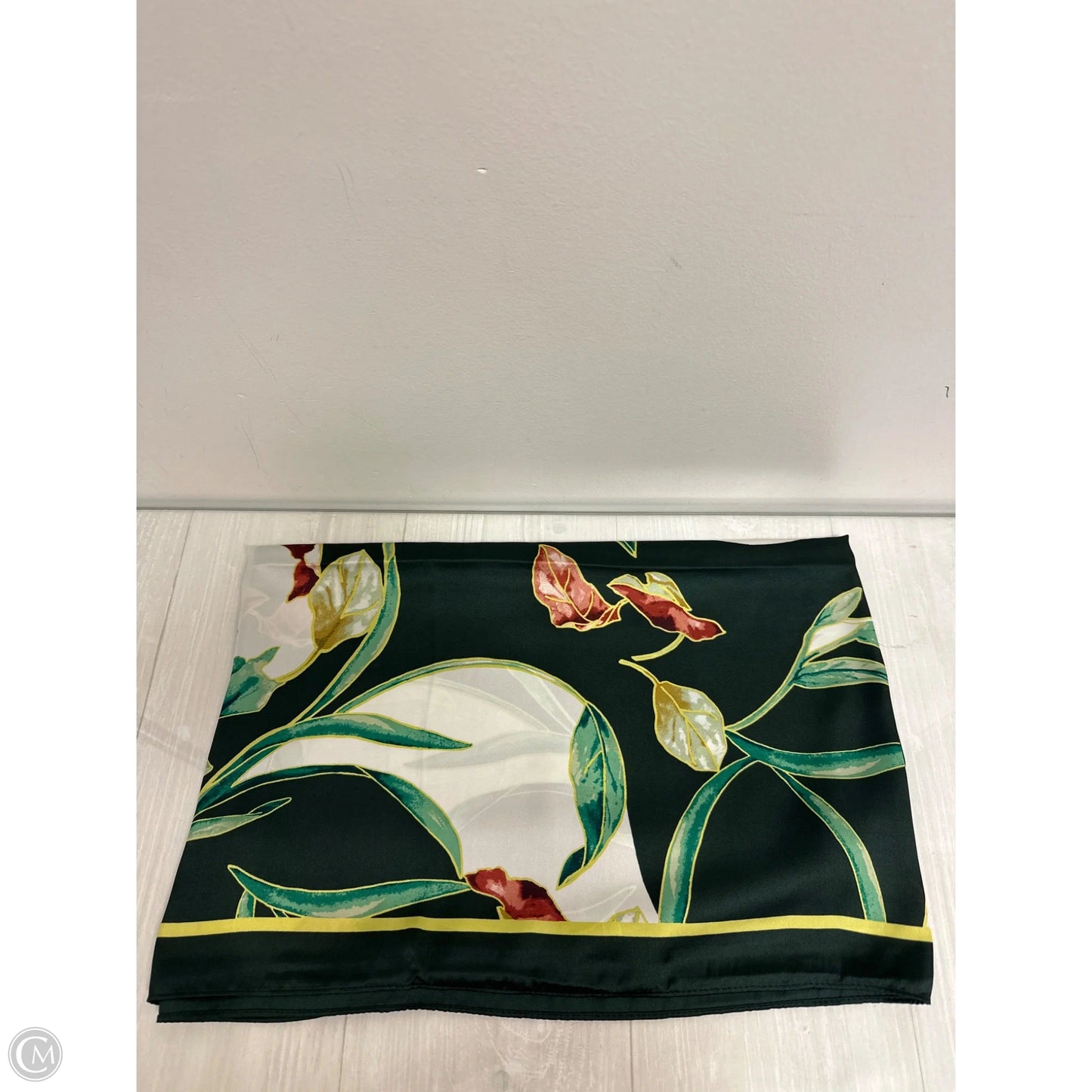 Scarf Long By Clothes Mentor