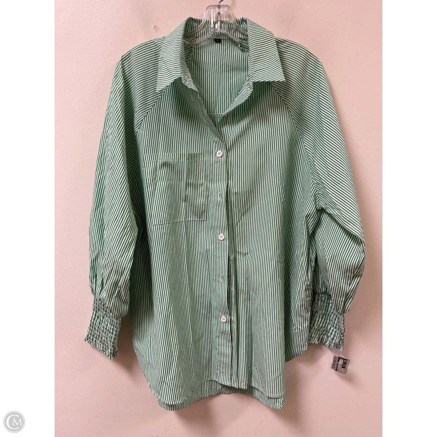 Blouse Long Sleeve By Clothes Mentor In Green & White, Size: L