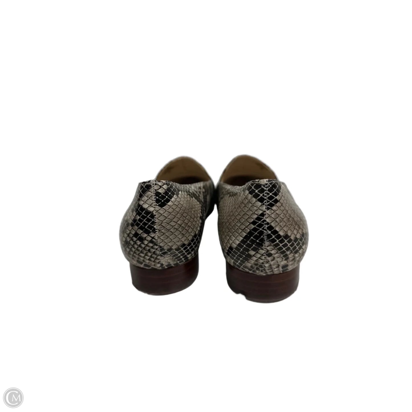 Shoes Flats By Marc Fisher In Snakeskin Print, Size: 9
