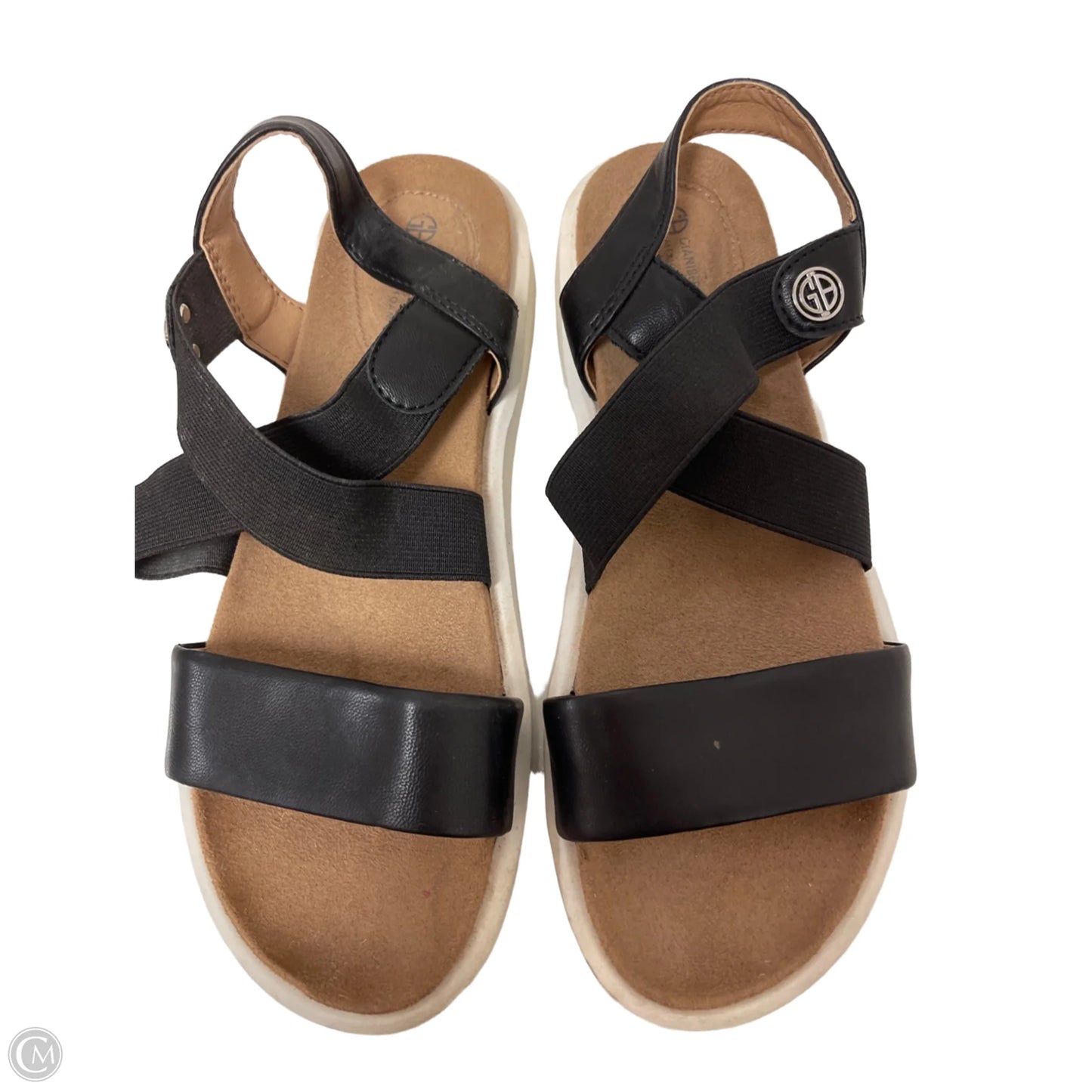 Sandals Flats By Giani Bernini In Black, Size: 6.5