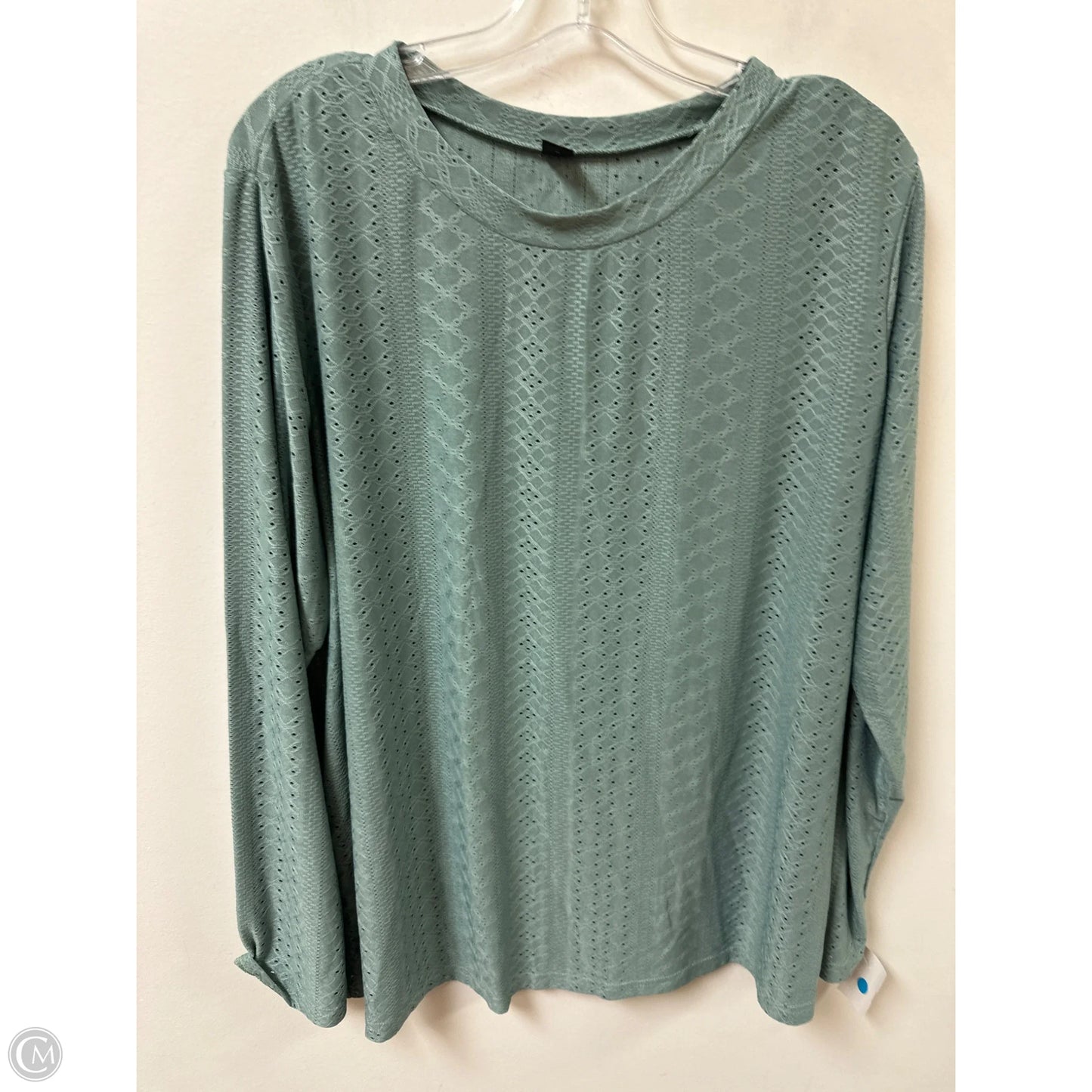 Top Long Sleeve By Shein In Green, Size: 3x