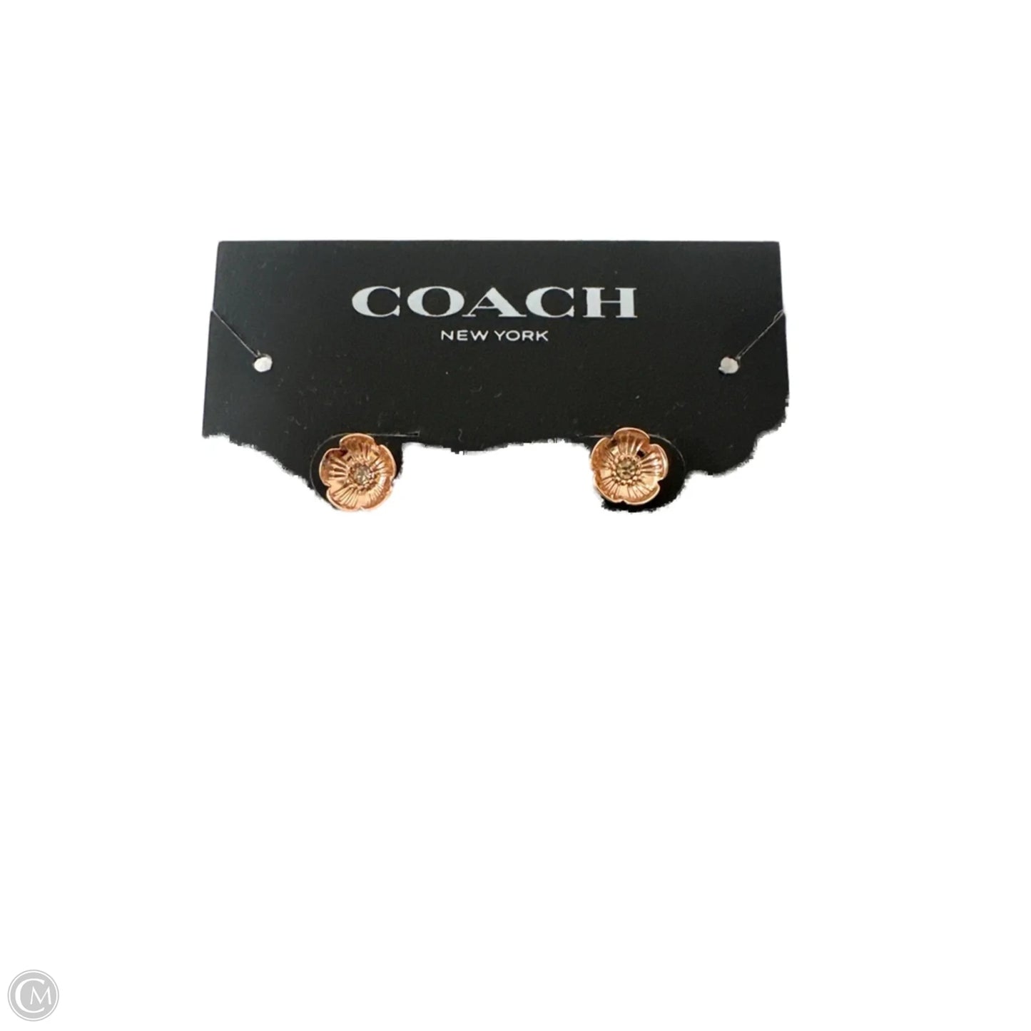 Earrings Designer By Coach