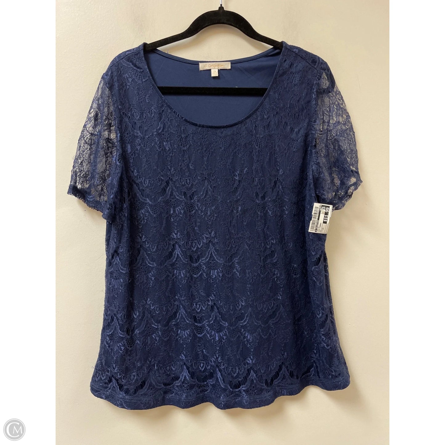 Top Short Sleeve By G Collection In Blue & Brown, Size: 2x
