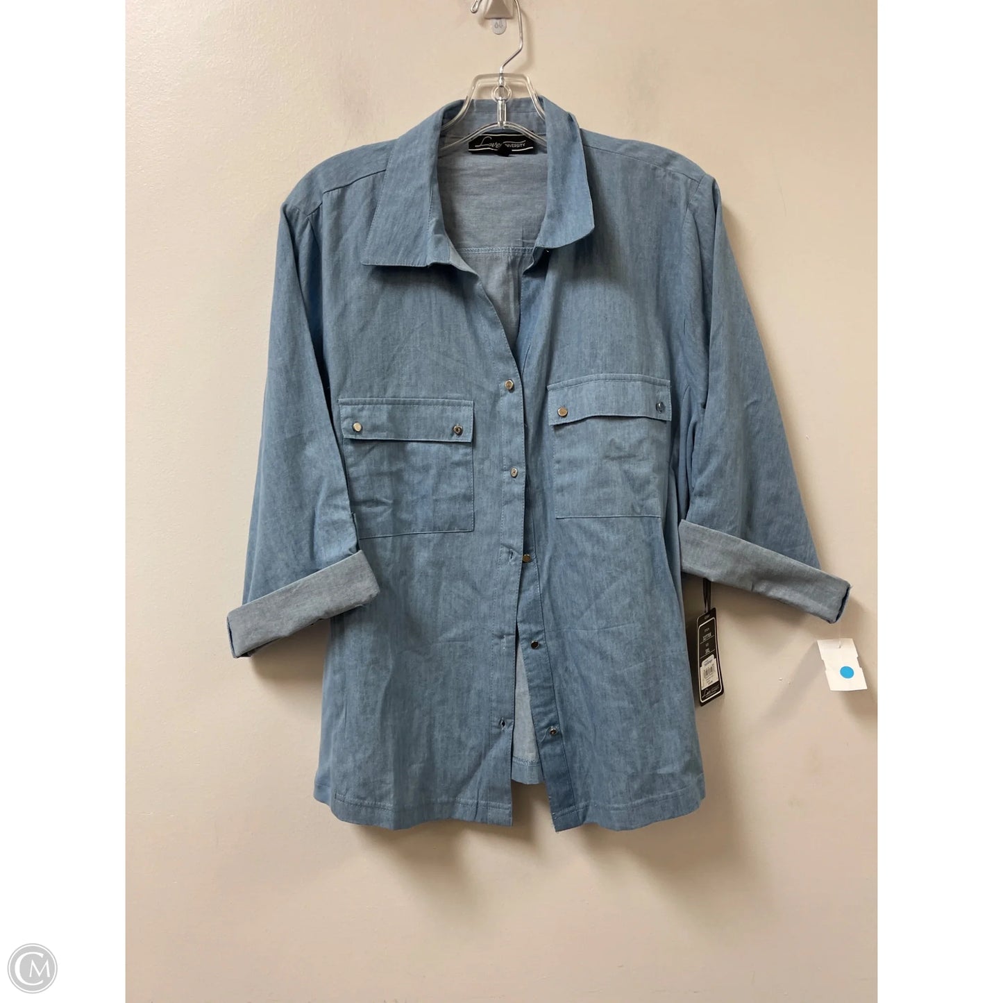 Blouse Long Sleeve By Clothes Mentor In Blue, Size: 3x