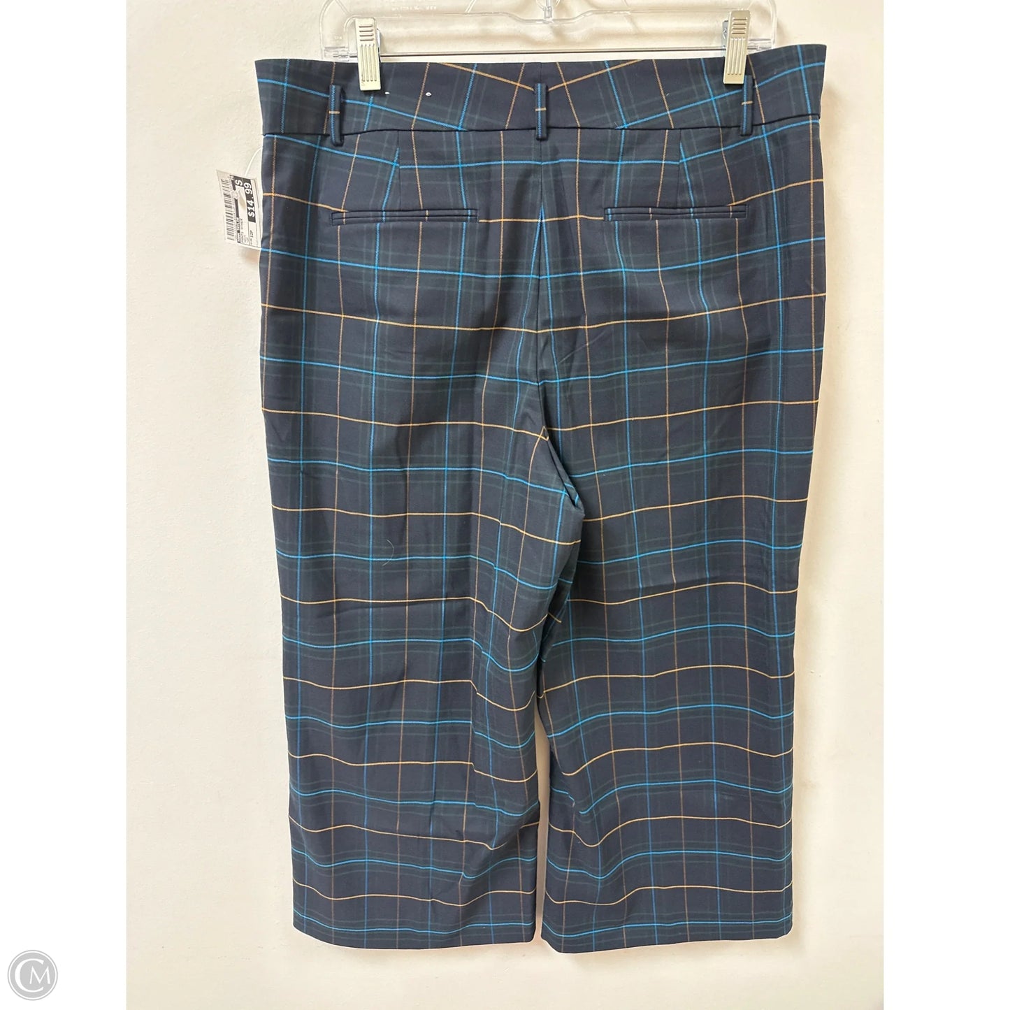 Pants Other By Ann Taylor In Navy, Size: 12p