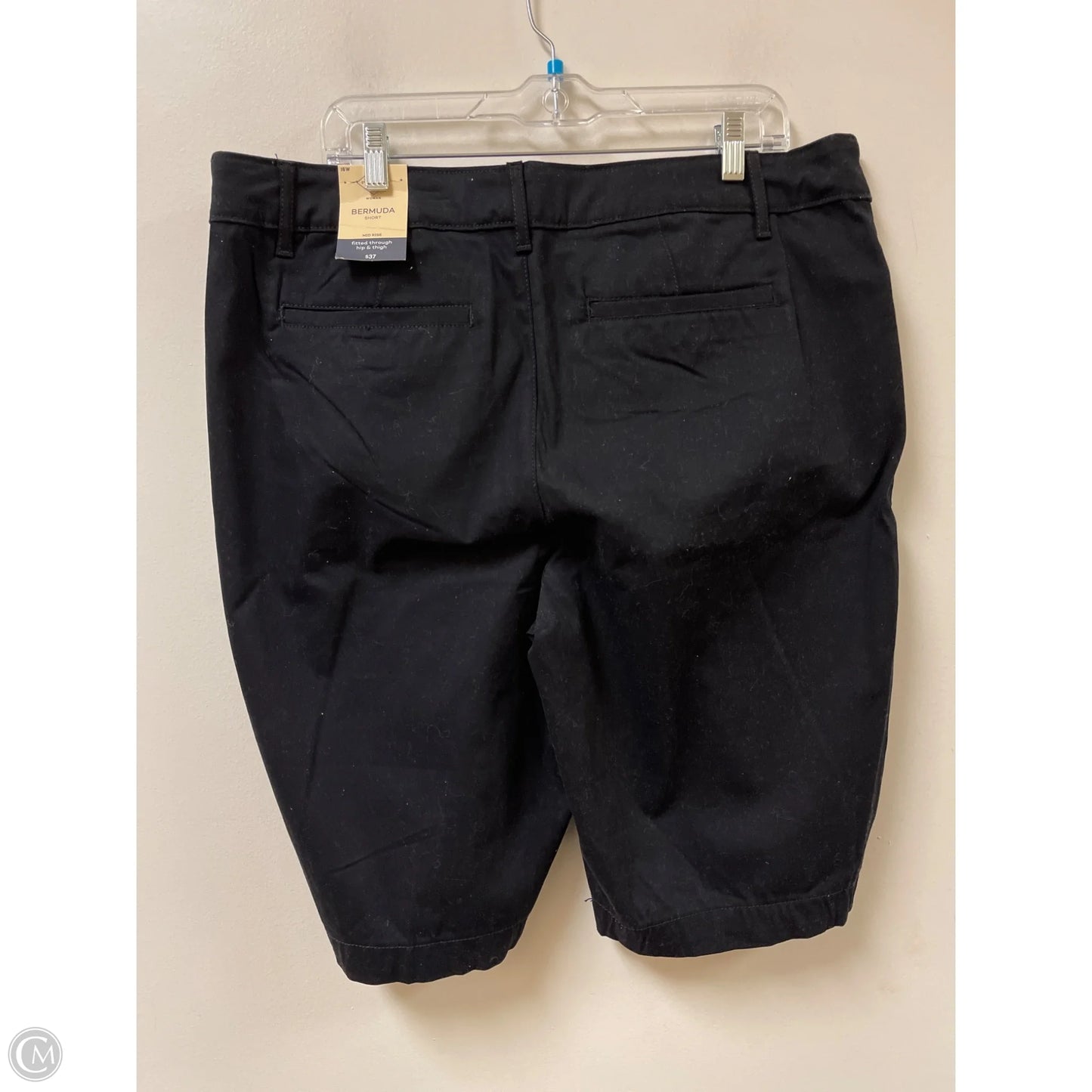 Shorts By St Johns Bay In Black, Size: 16
