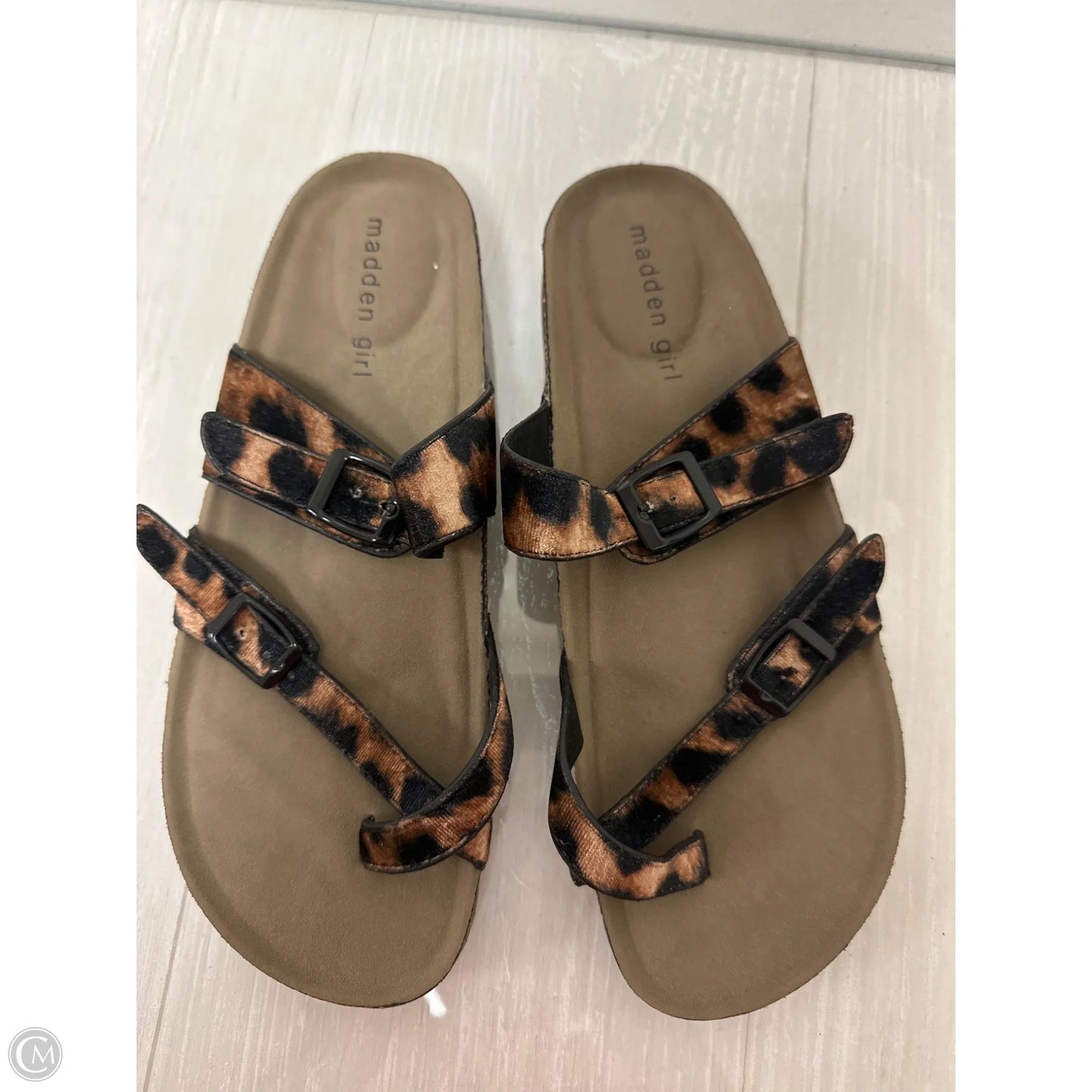 Sandals Flats By Madden Girl In Animal Print, Size: 8