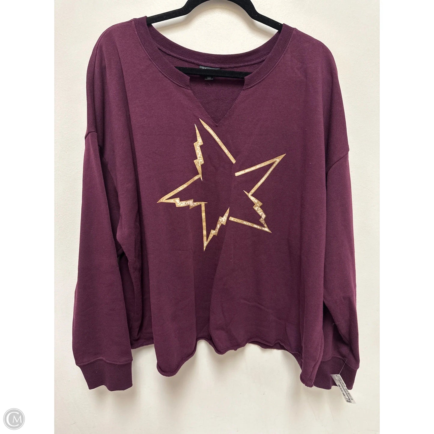 Sweatshirt Crewneck By Torrid In Purple, Size: 3x