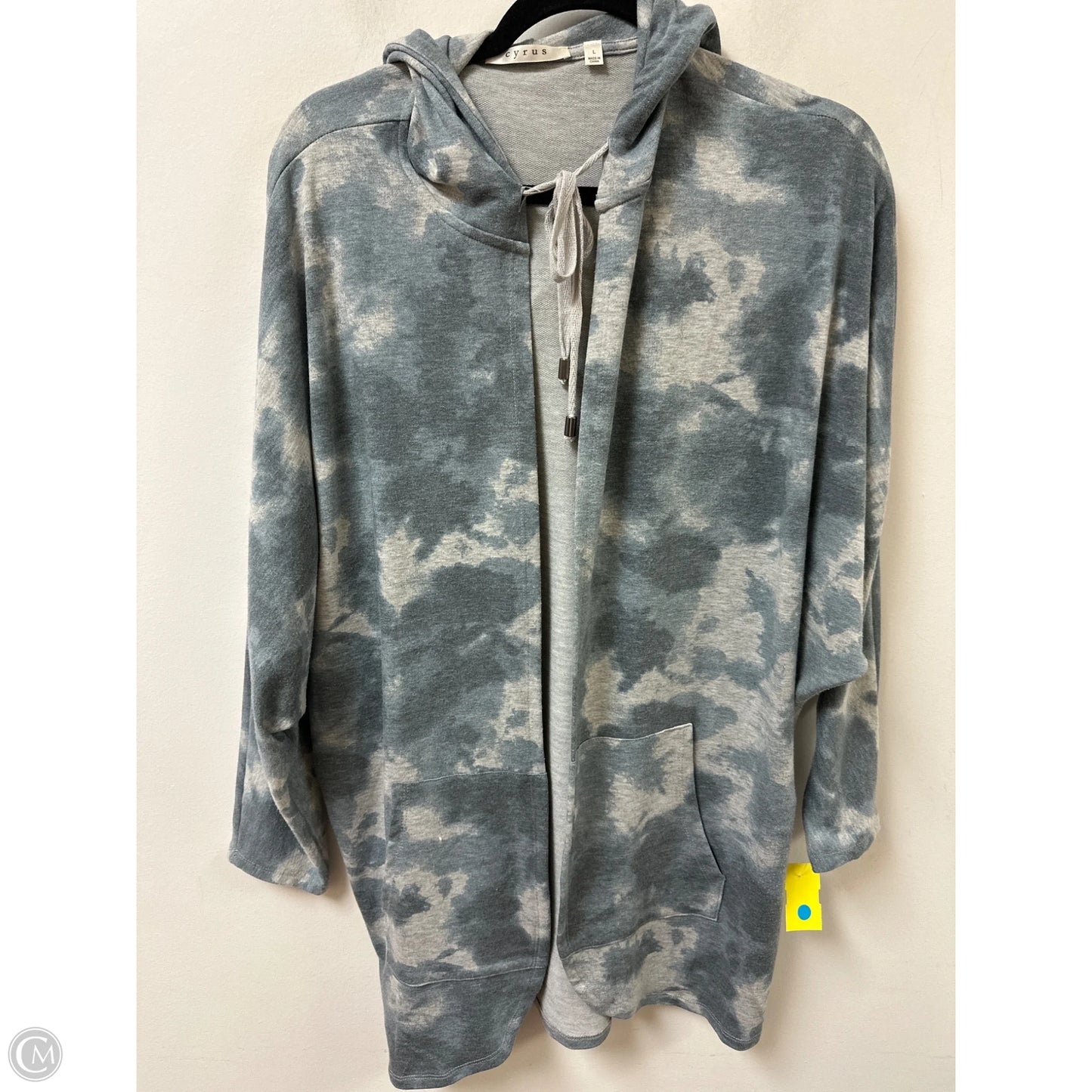 Sweater Cardigan By Cyrus In Grey, Size: L