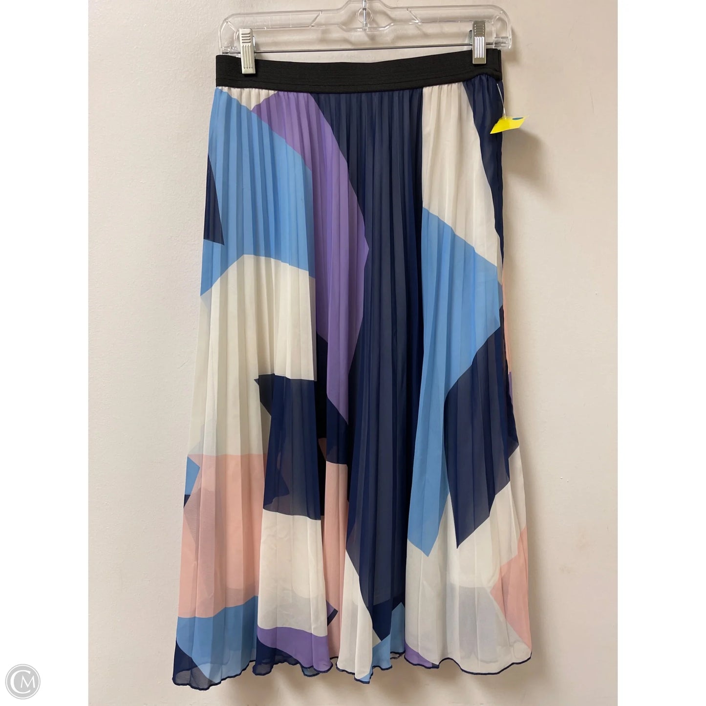 Skirt Maxi By Wdny In Blue & Purple, Size: 4