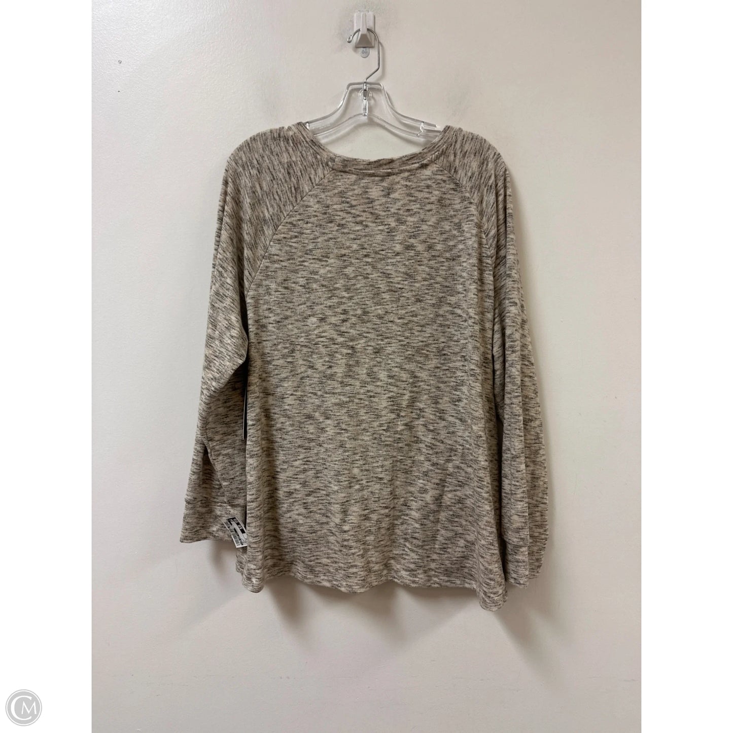 Top Long Sleeve By Time And Tru In Cream, Size: 3x