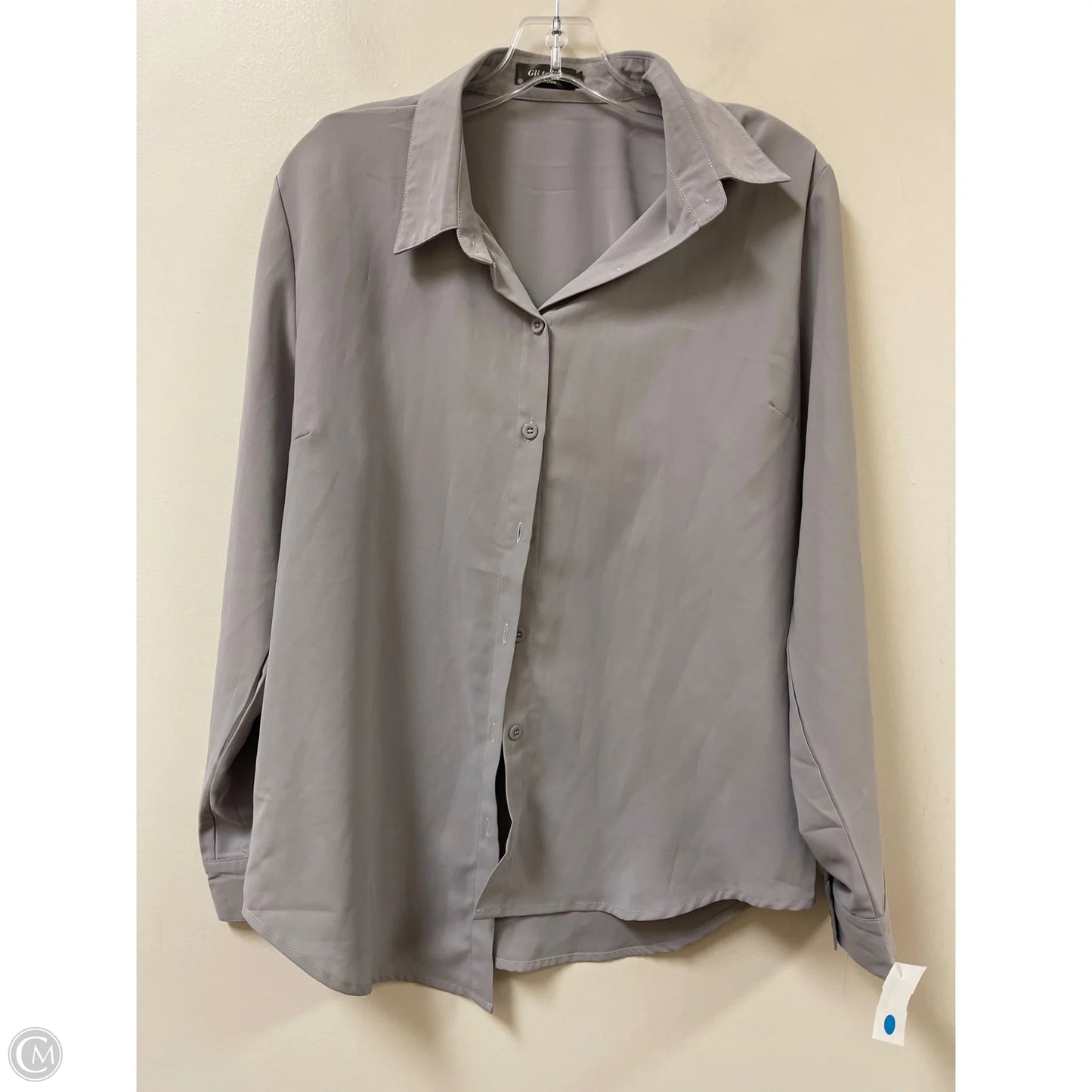 Blouse Long Sleeve By Clothes Mentor In Grey, Size: L