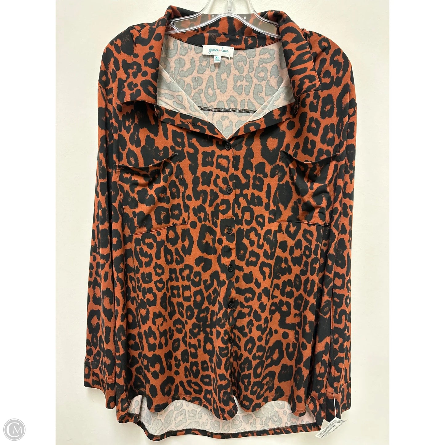 Blouse Long Sleeve By Clothes Mentor In Animal Print, Size: Xl