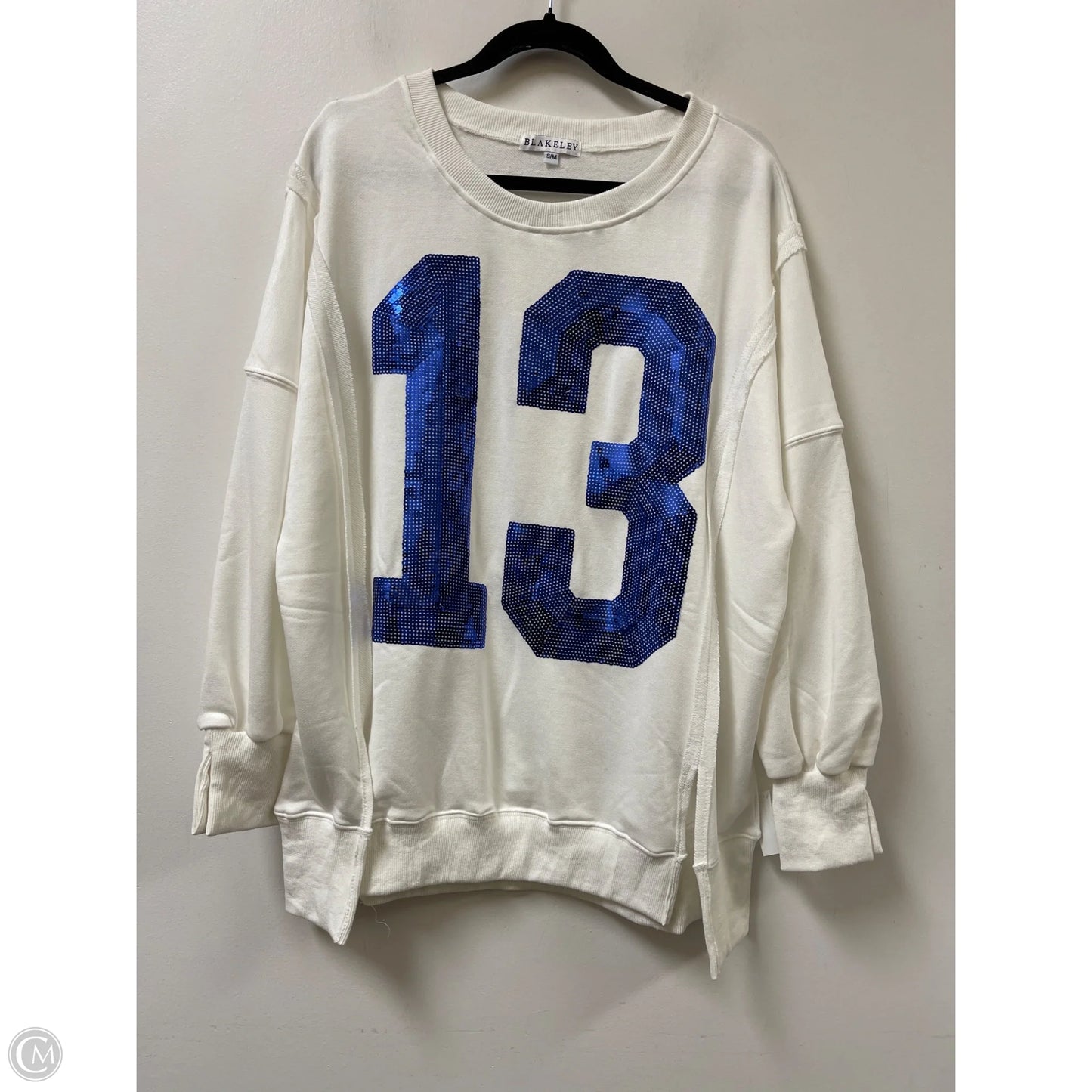 Sweater By Blakeley In Blue & White, Size: S