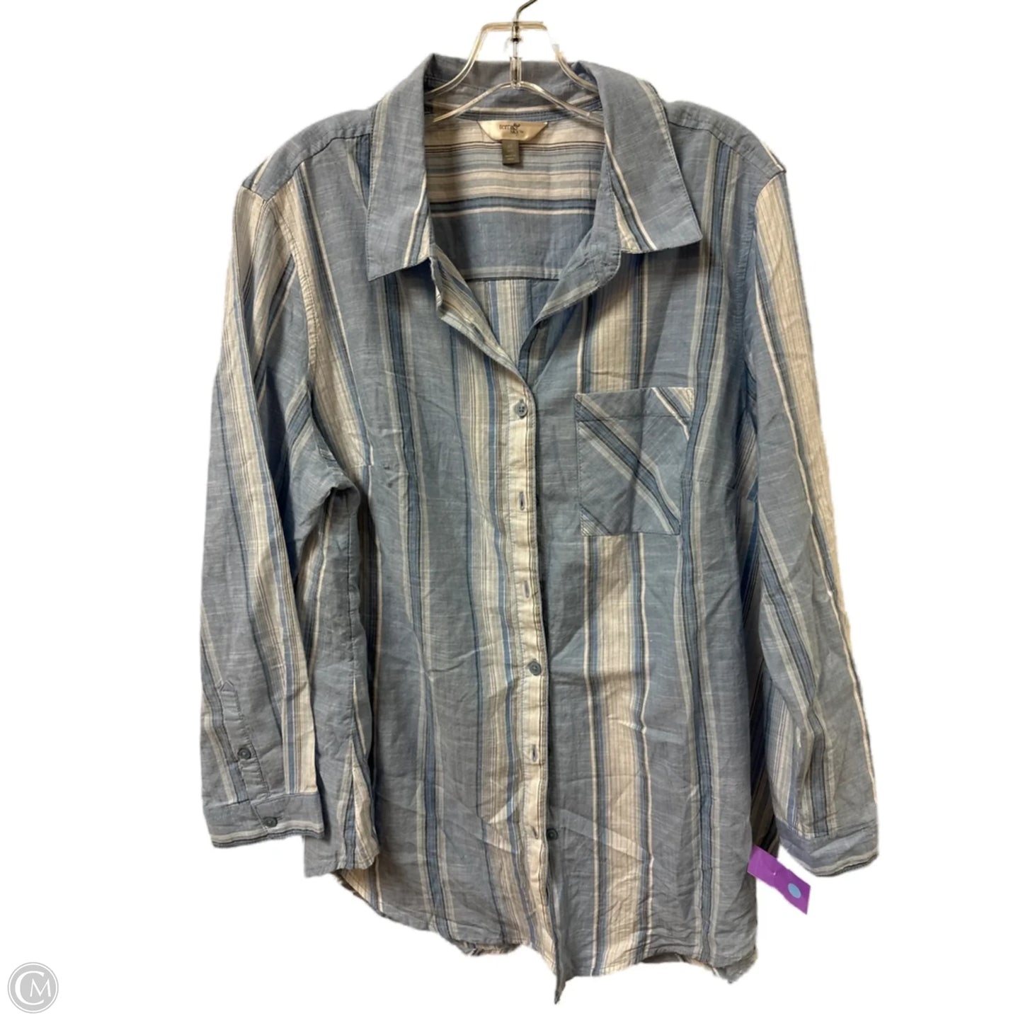 Blouse Long Sleeve By Terra & Sky In Blue, Size: 1x