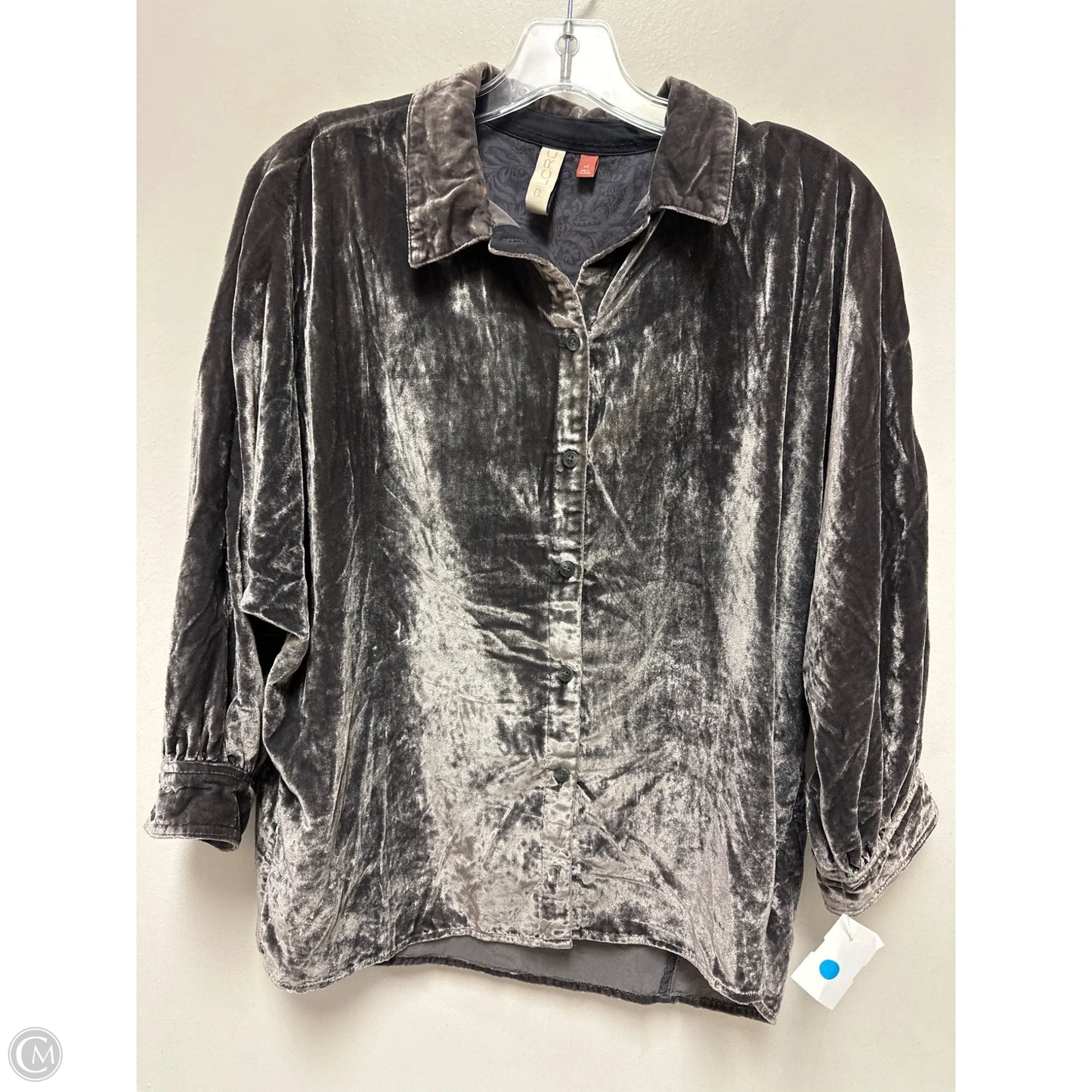 Blouse Long Sleeve By Pilcro In Grey, Size: Xs