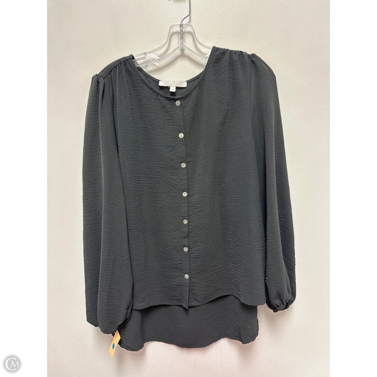 Blouse Long Sleeve By Adyson Parker In Grey, Size: L