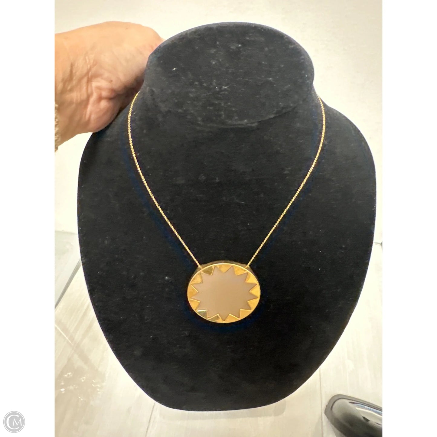 Necklace Pendant By Clothes Mentor