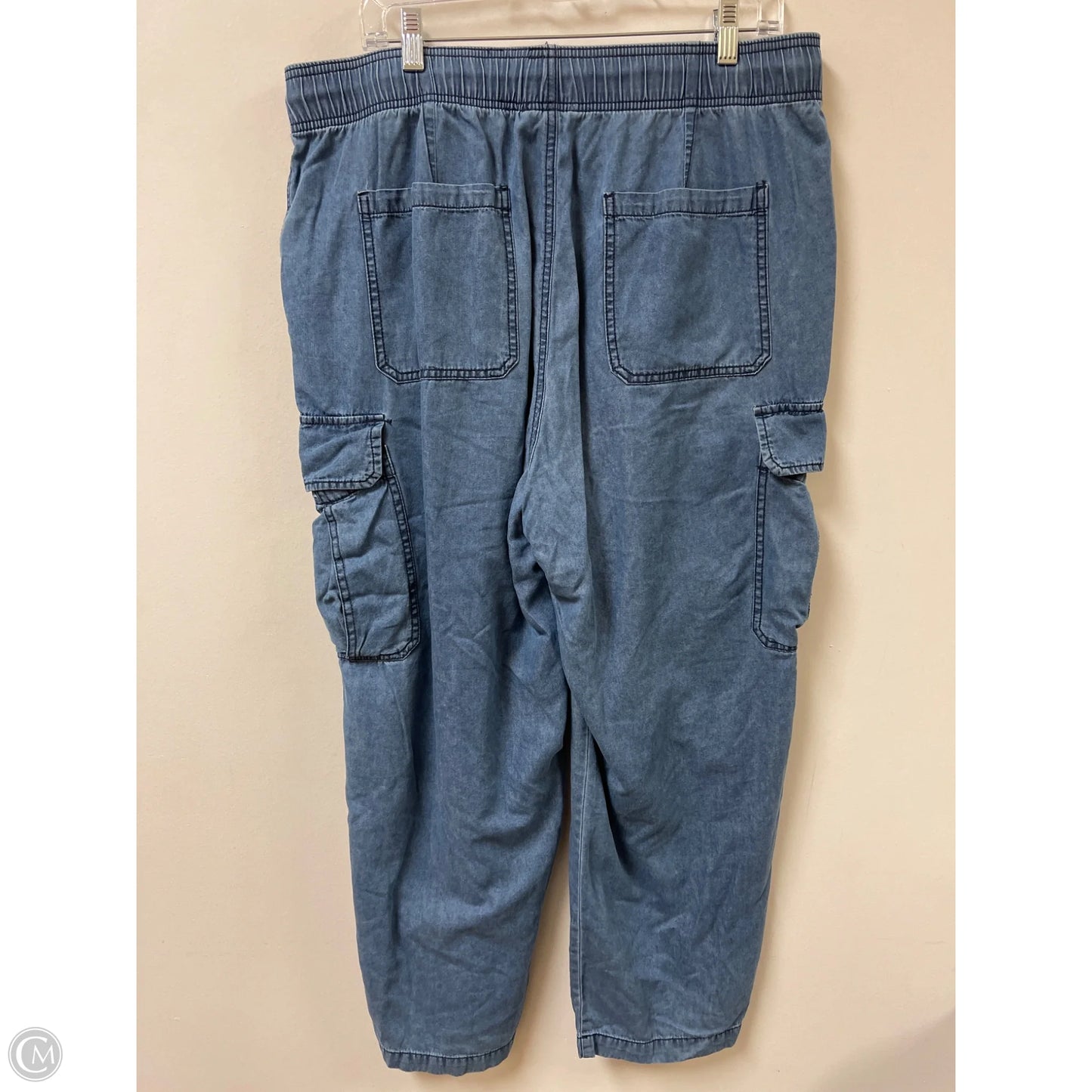 Pants Cargo & Utility By Lucky Brand In Blue, Size: 12