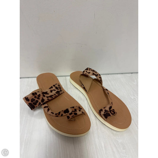 Sandals Flats By Wild Diva In Leopard Print, Size: 9