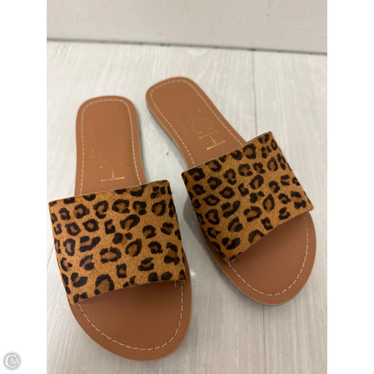 Sandals Flats By Matisse In Leopard Print, Size: 7