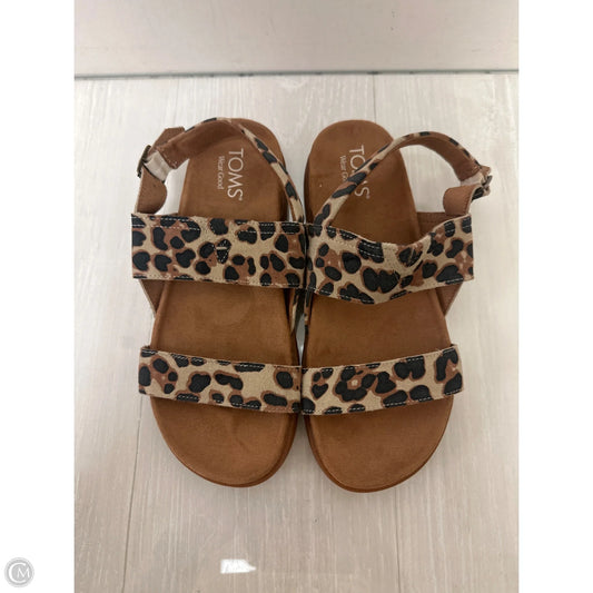 Sandals Flats By Toms In Leopard Print, Size: 7