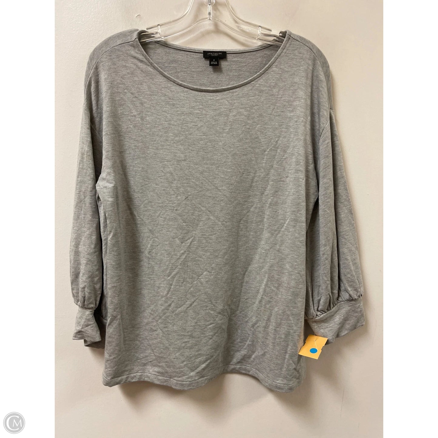 Top Long Sleeve By Ann Taylor In Grey, Size: L