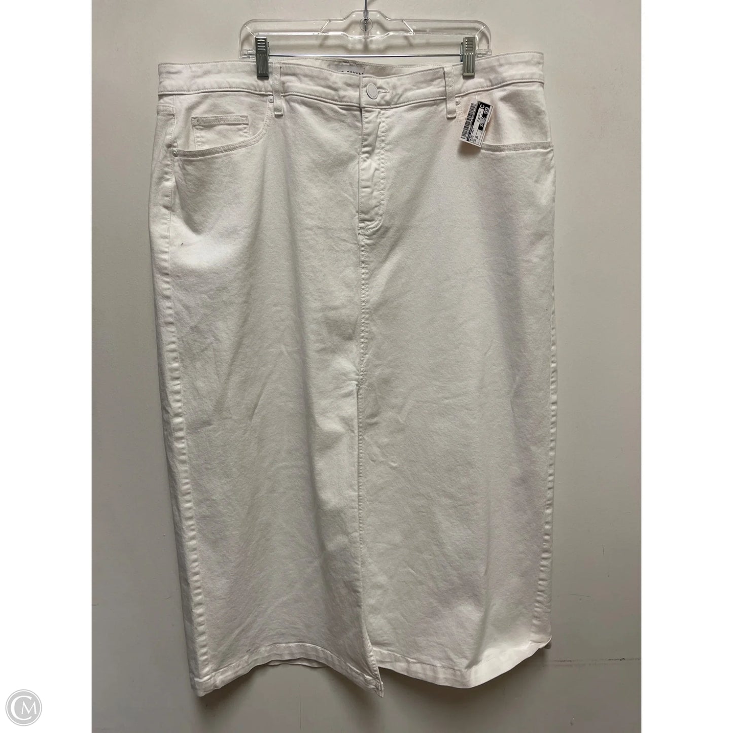 Skirt Maxi By Lane Bryant In White, Size: 22
