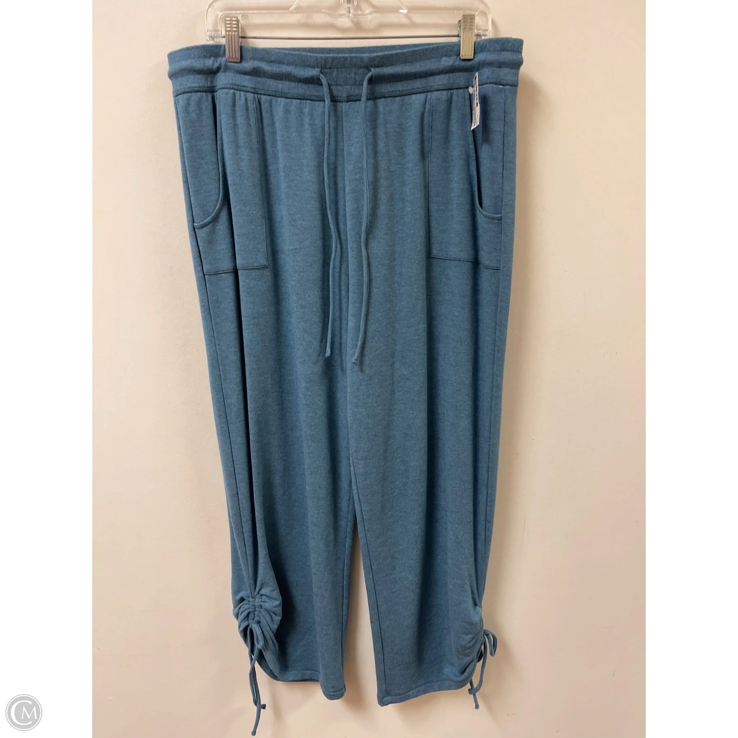 Pants Lounge By Soft Surroundings In Blue, Size: 12