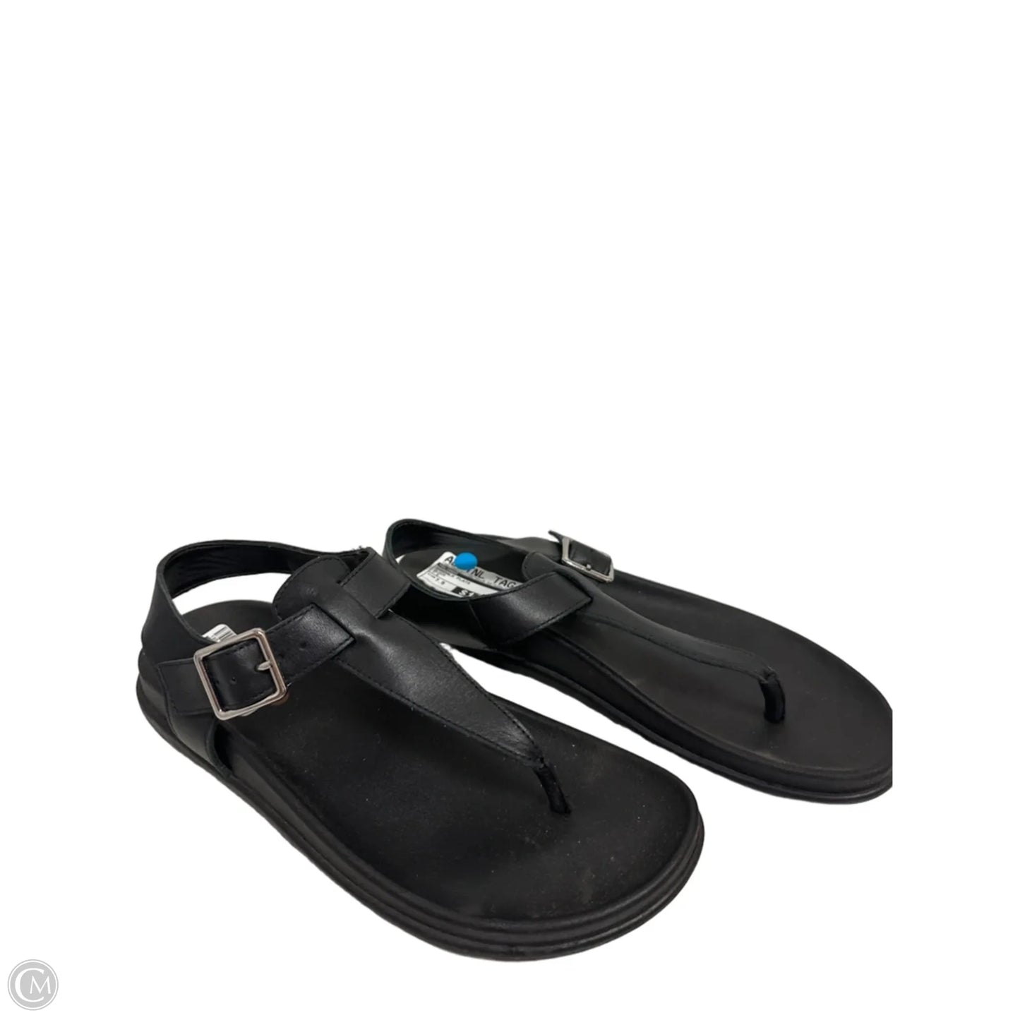 Sandals Flats By Blondo In Black, Size: 7.5