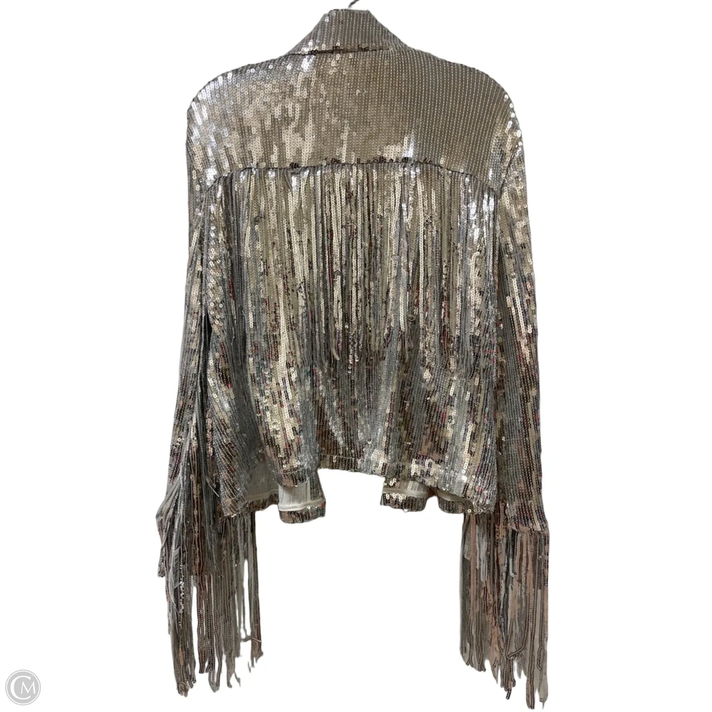 Jacket Other By Clothes Mentor In Silver, Size: 3x