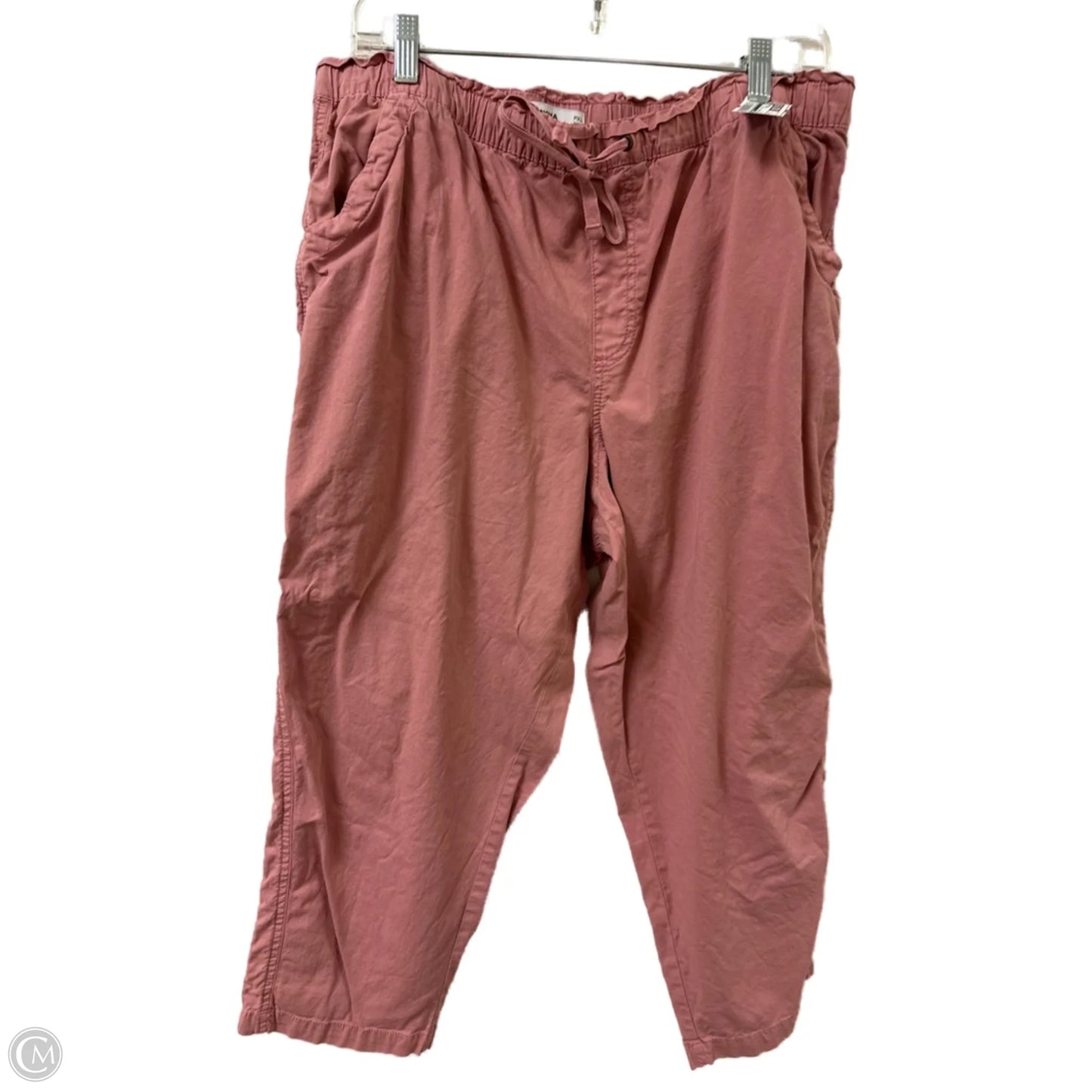Pants Cargo & Utility By Sonoma In Pink, Size: Xl
