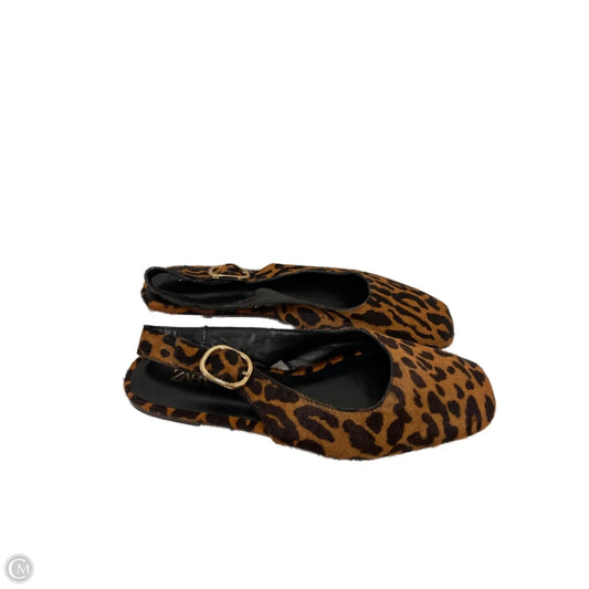 Shoes Flats By Zara In Animal Print, Size: 9.5