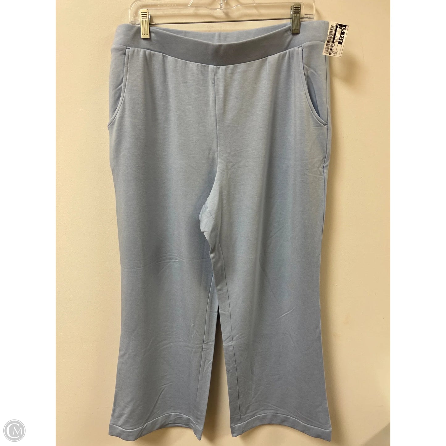 Pants Lounge By Ann Taylor In Blue, Size: L