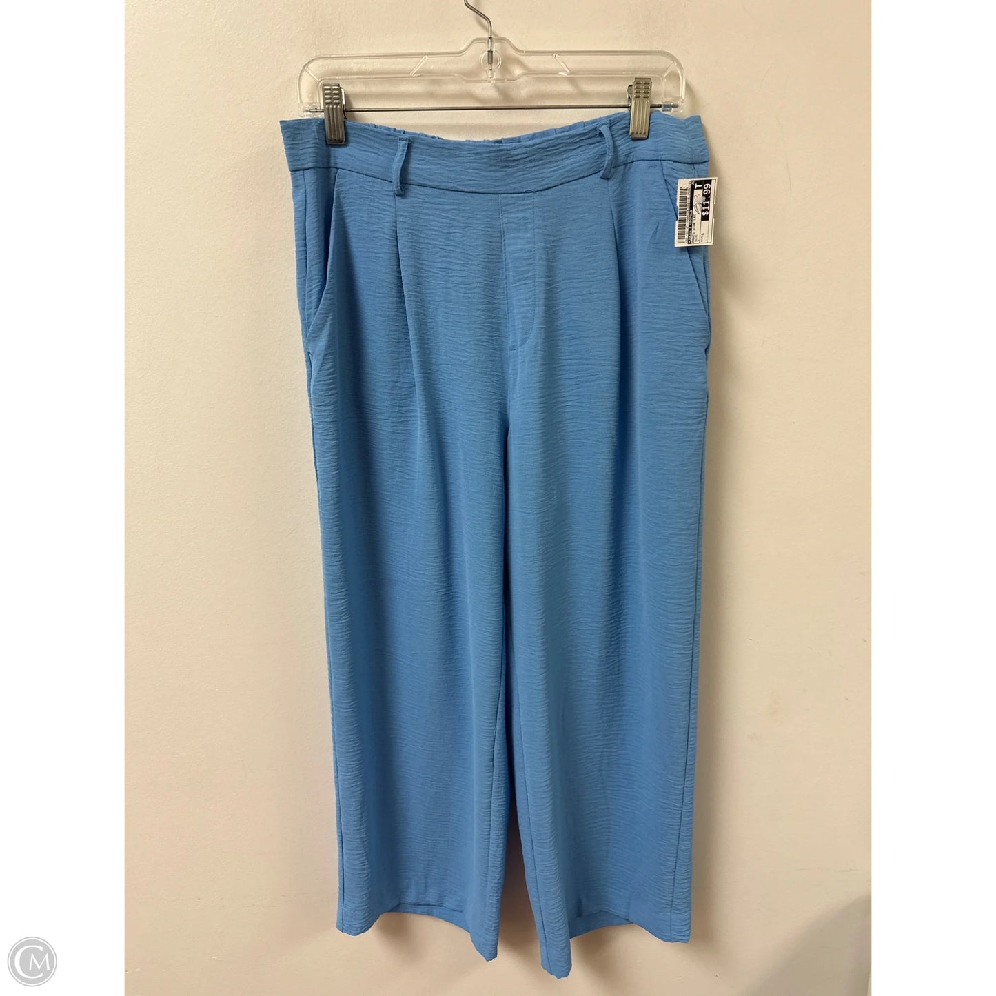 Pants Wide Leg By Jules & Leopold In Blue, Size: S