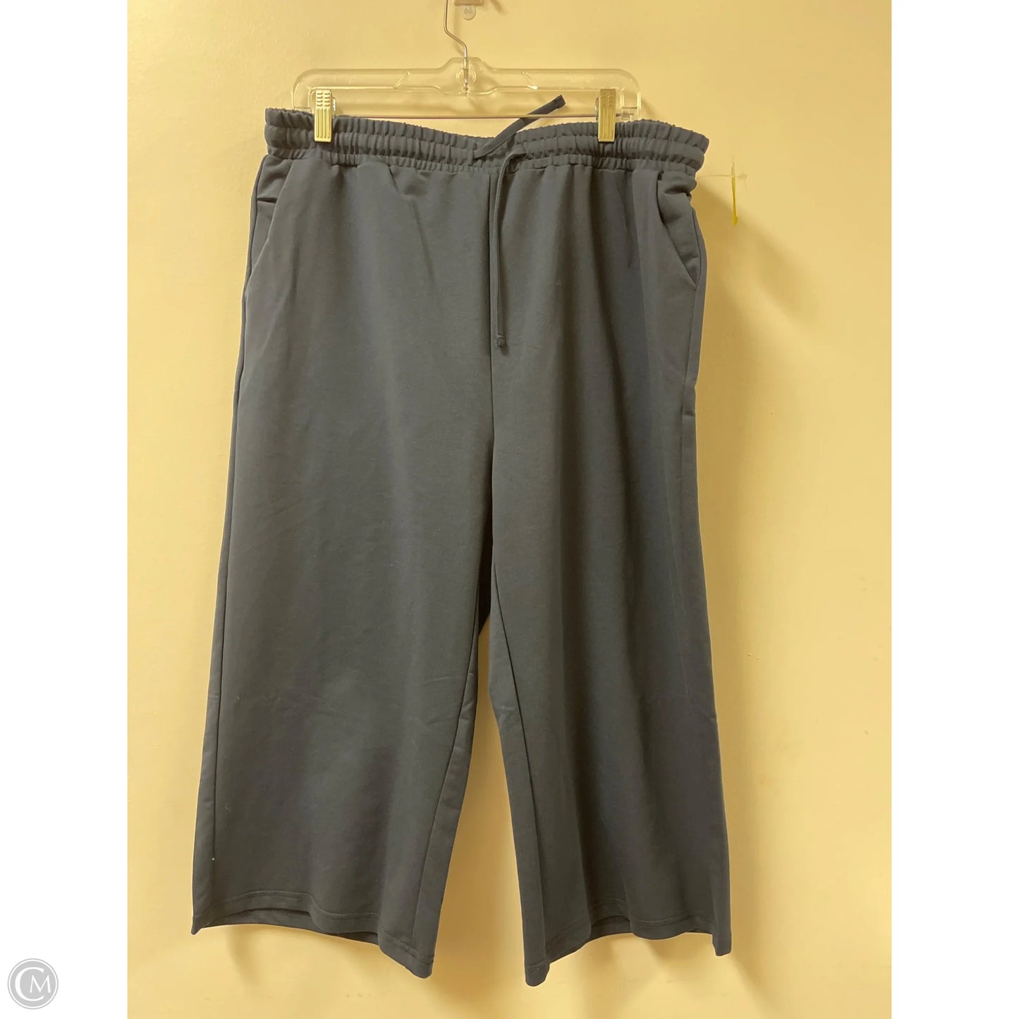 Pants Lounge By Clothes Mentor In Navy, Size: 2x